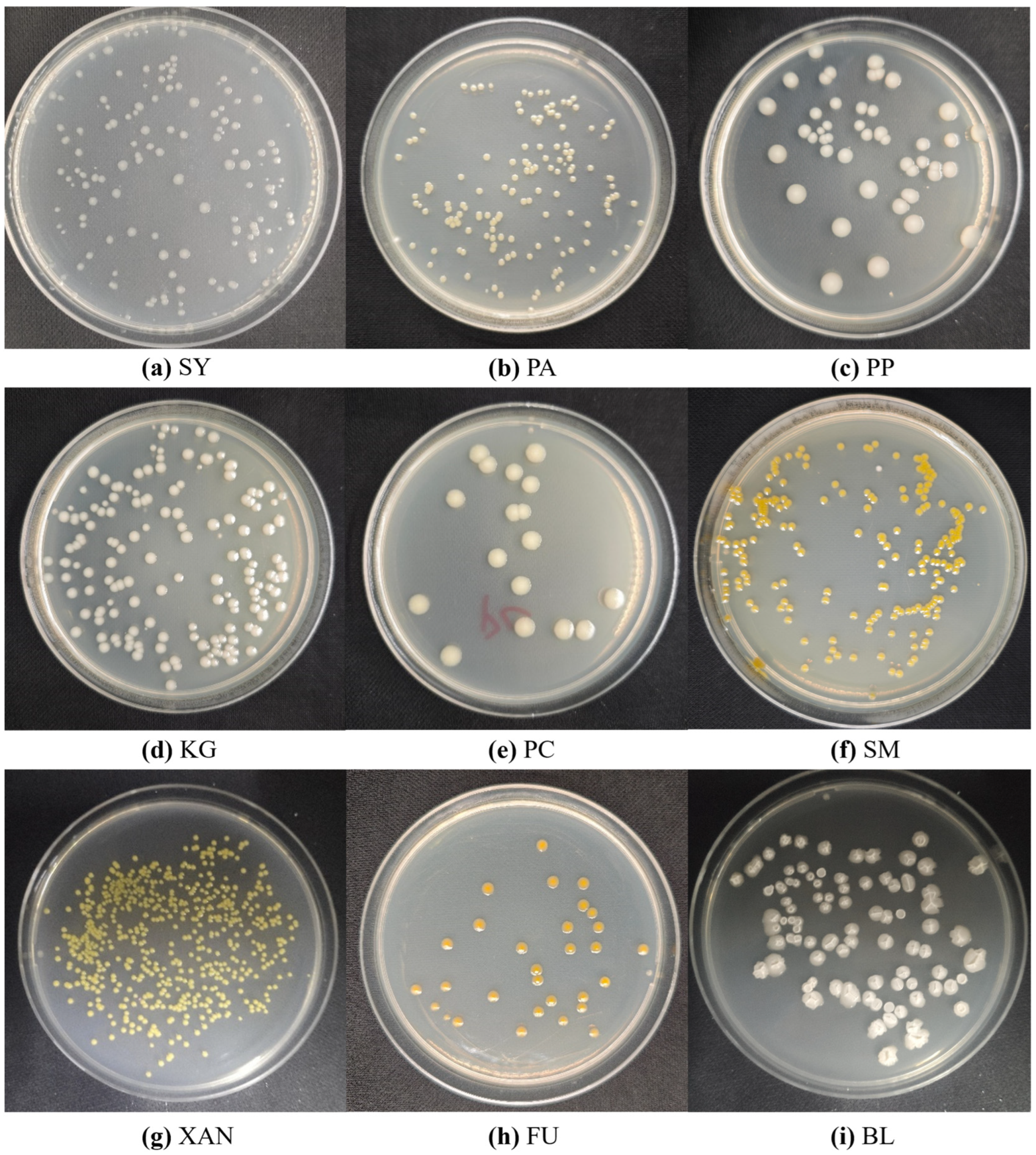 Microorganisms 13 01617 g002