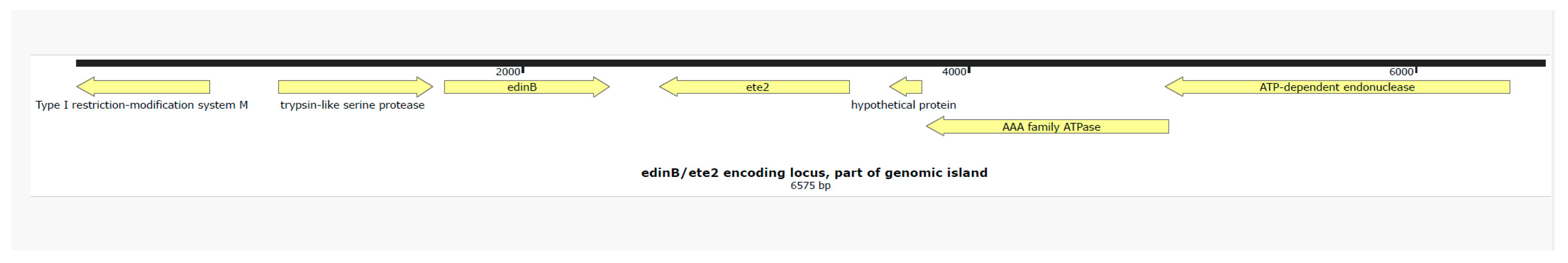 Microorganisms 13 01618 g001