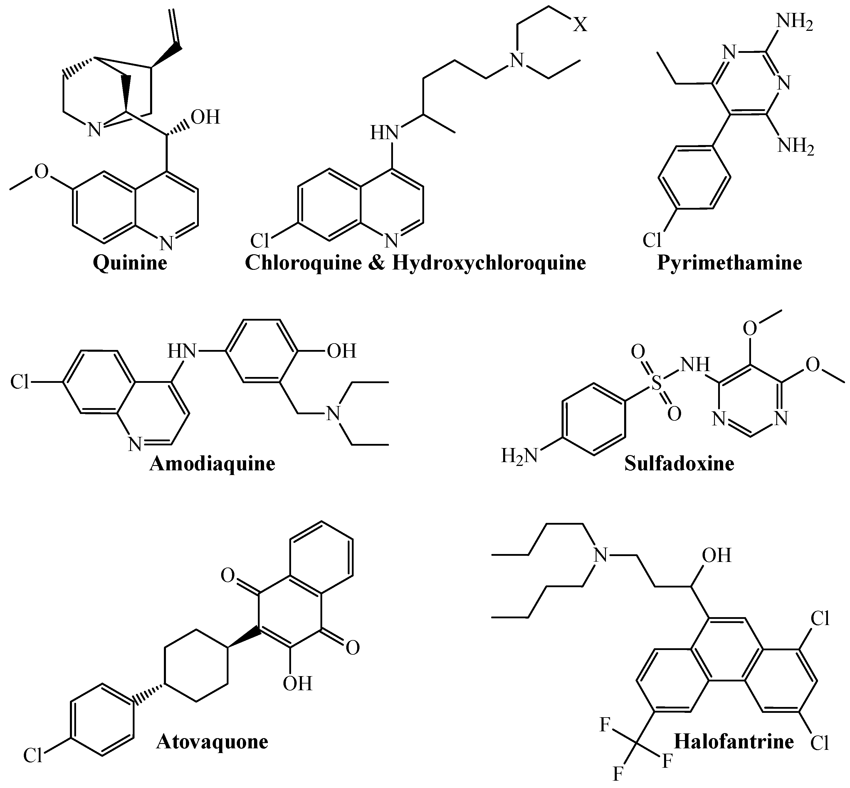 Microorganisms 13 01620 g002