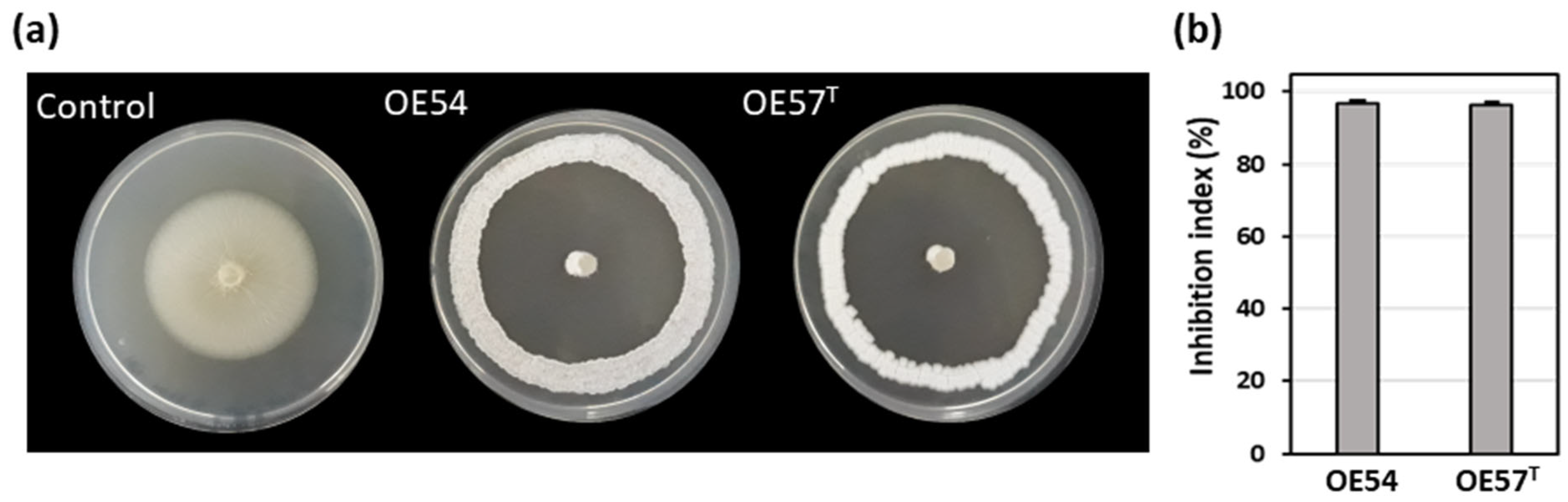Microorganisms 13 01622 g001