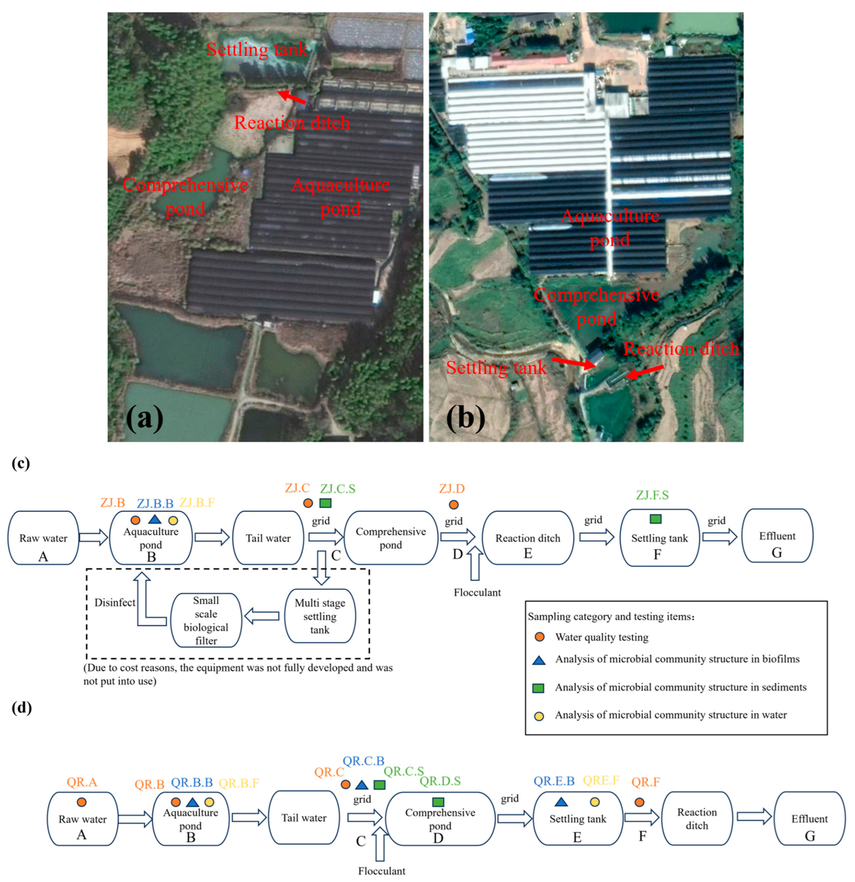 Microorganisms 13 01624 g001