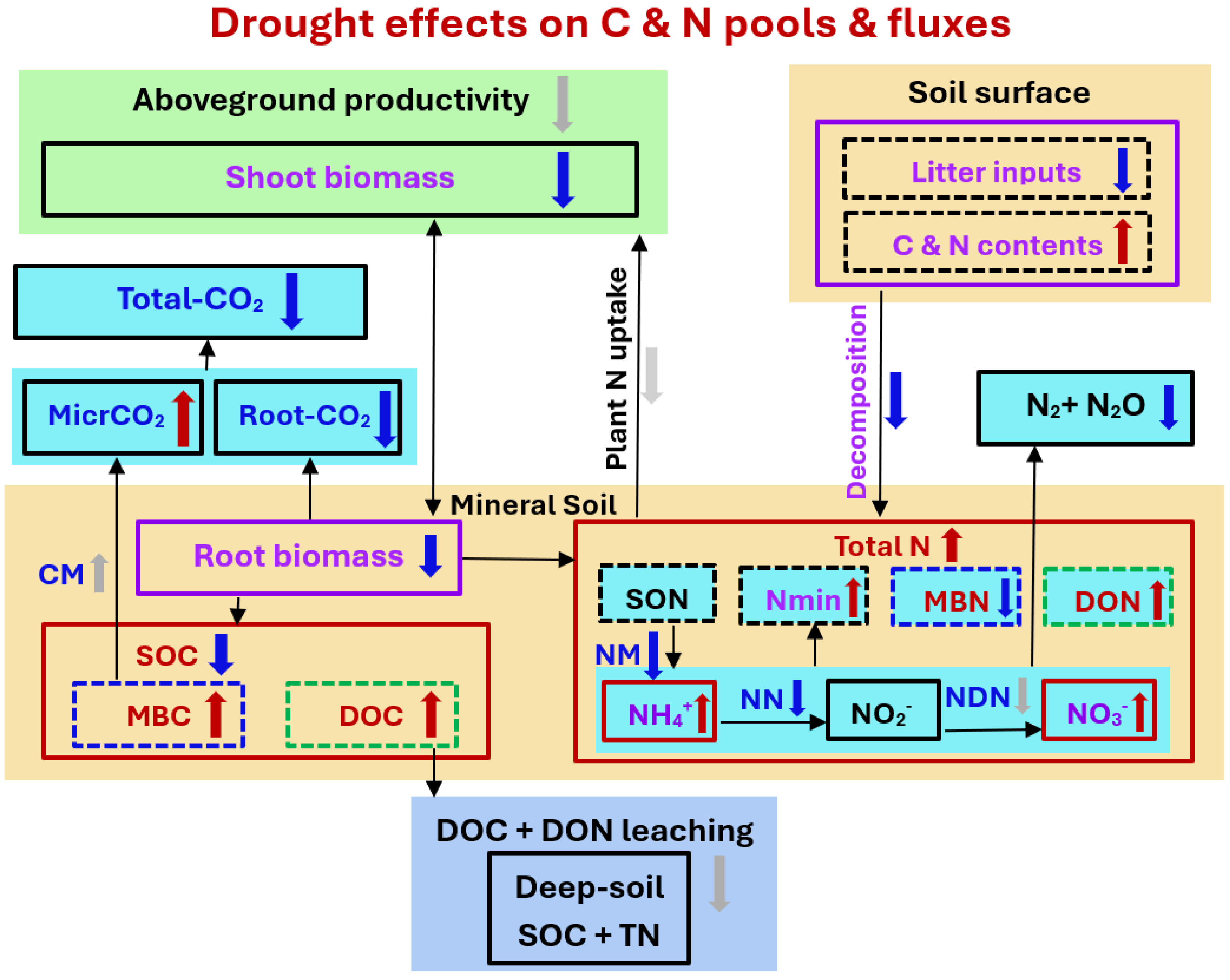 Microorganisms 13 01625 g001