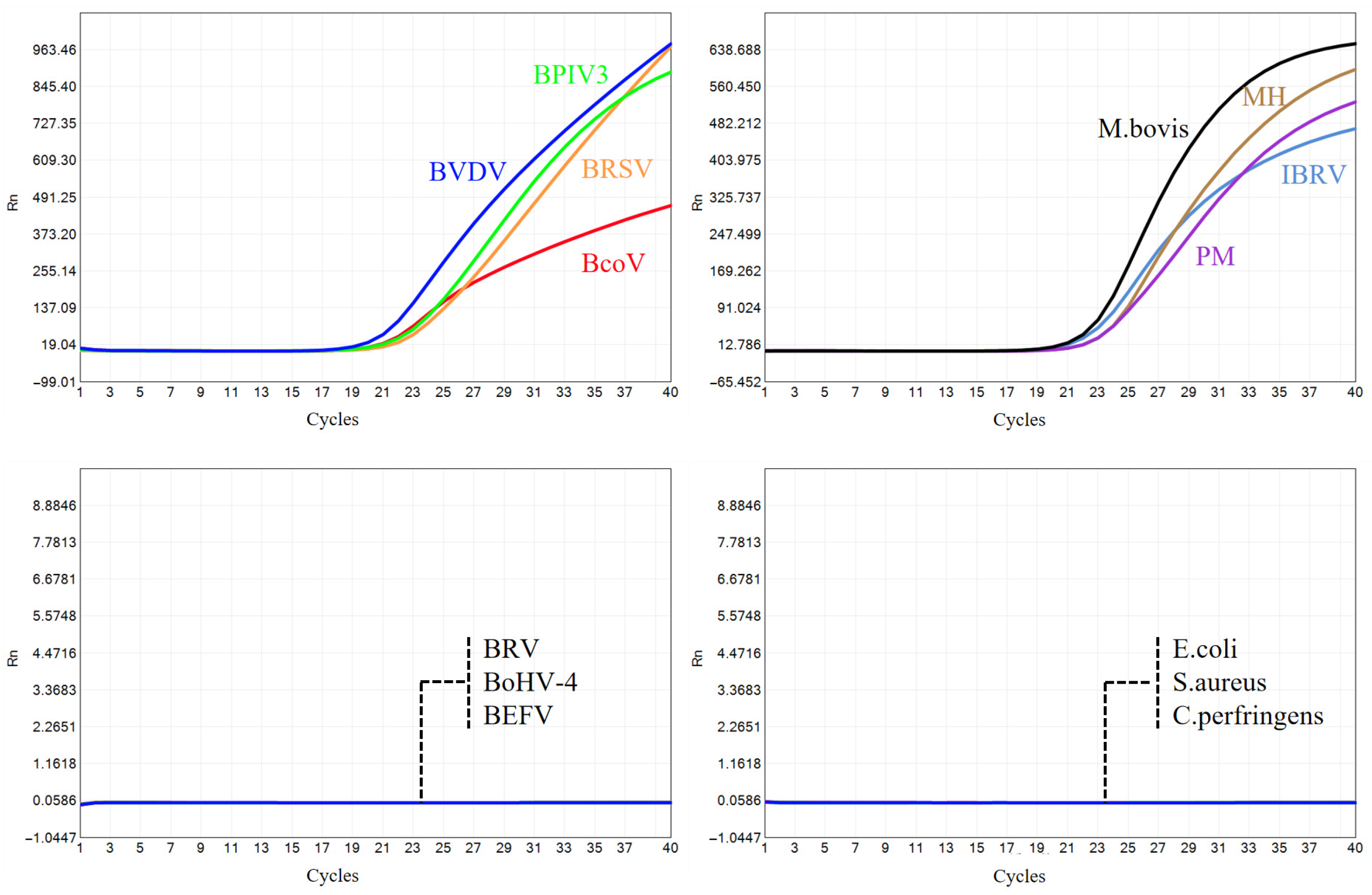 Microorganisms 13 01629 g006