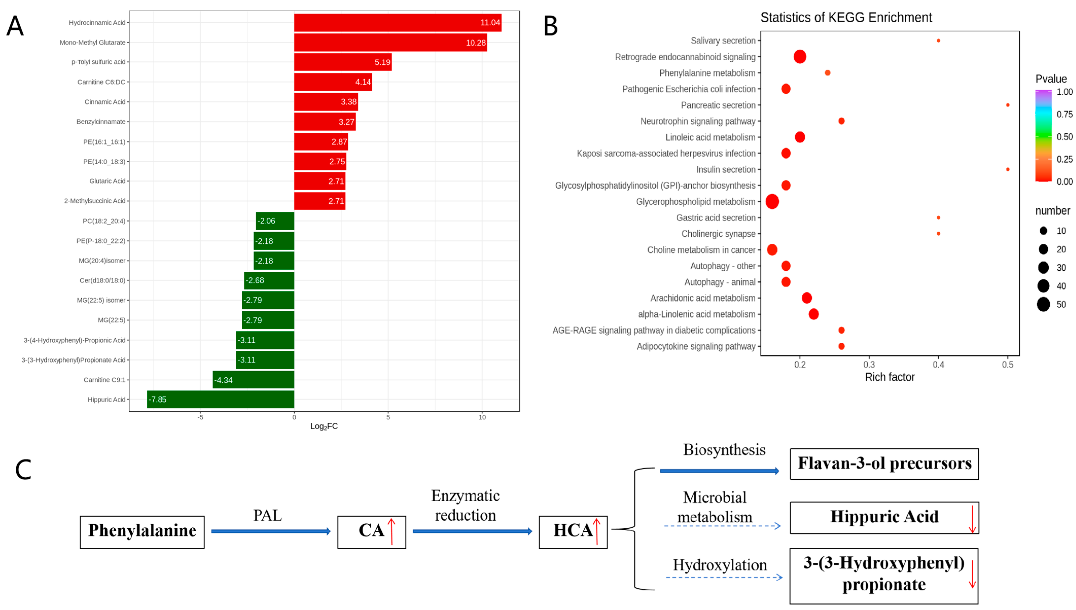 Microorganisms 13 01633 g003 Microorganisms 13 01633 g003