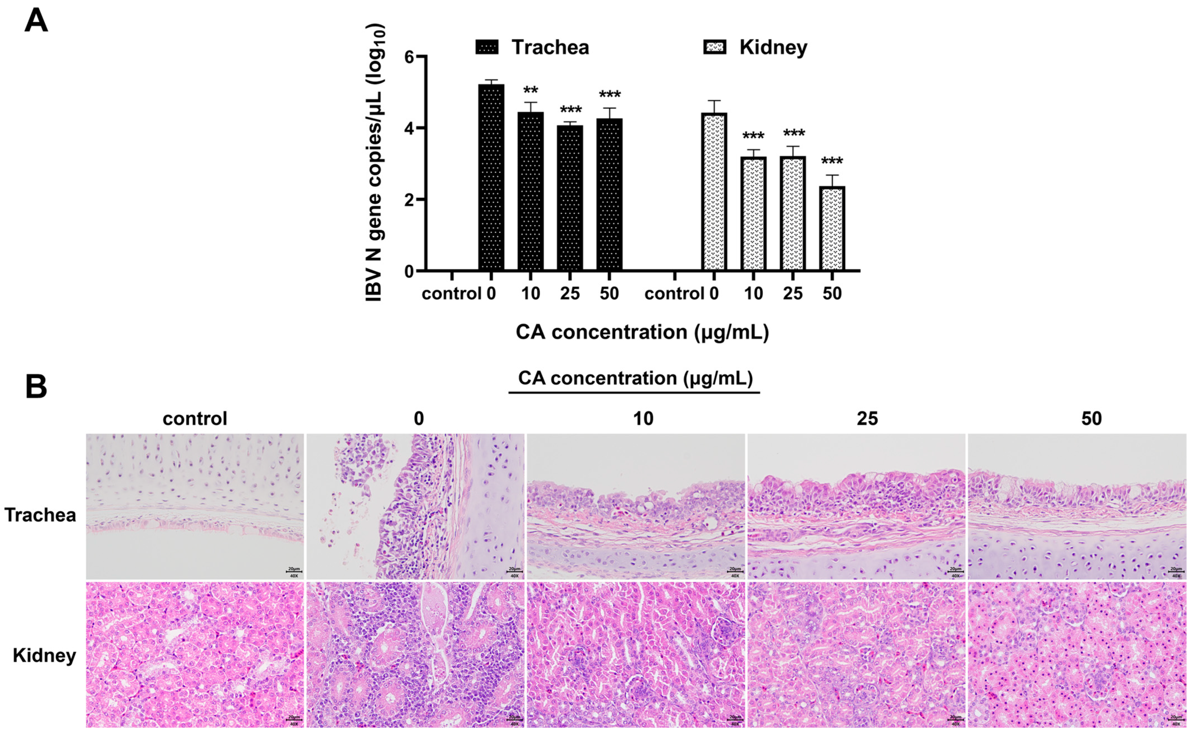 Microorganisms 13 01633 g006 Microorganisms 13 01633 g006