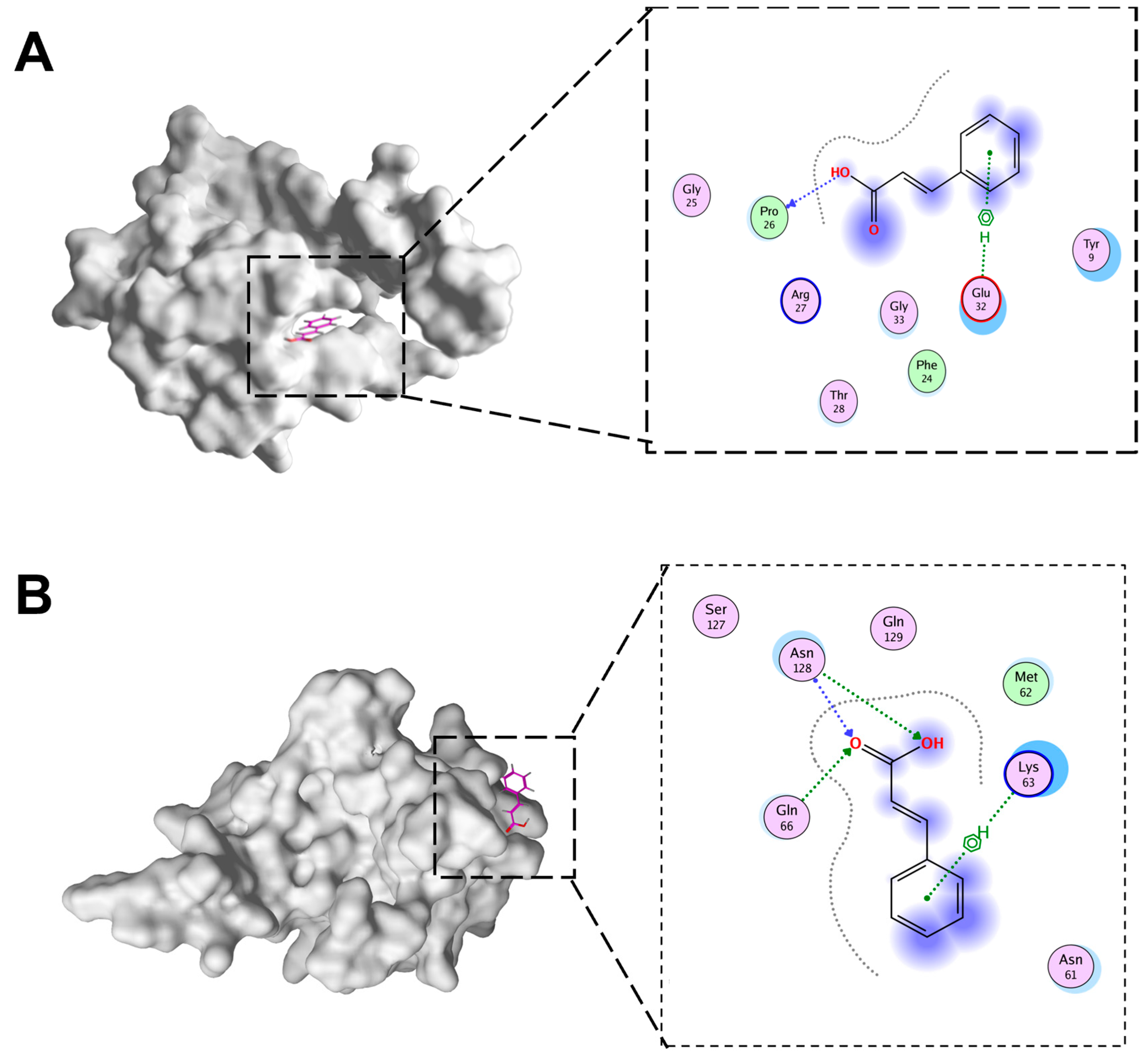Microorganisms 13 01633 g007 Microorganisms 13 01633 g007