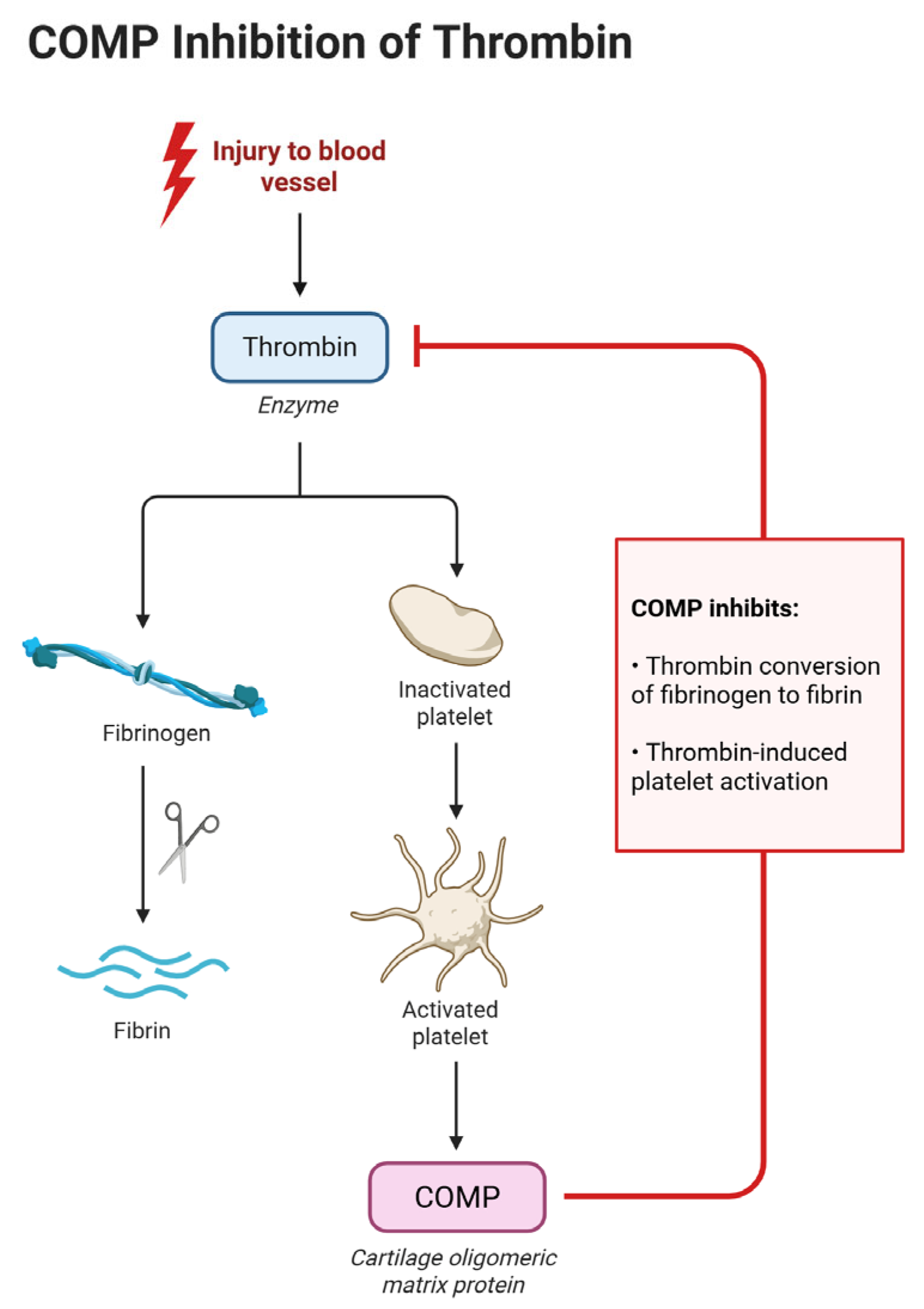 Microorganisms 13 01634 g003