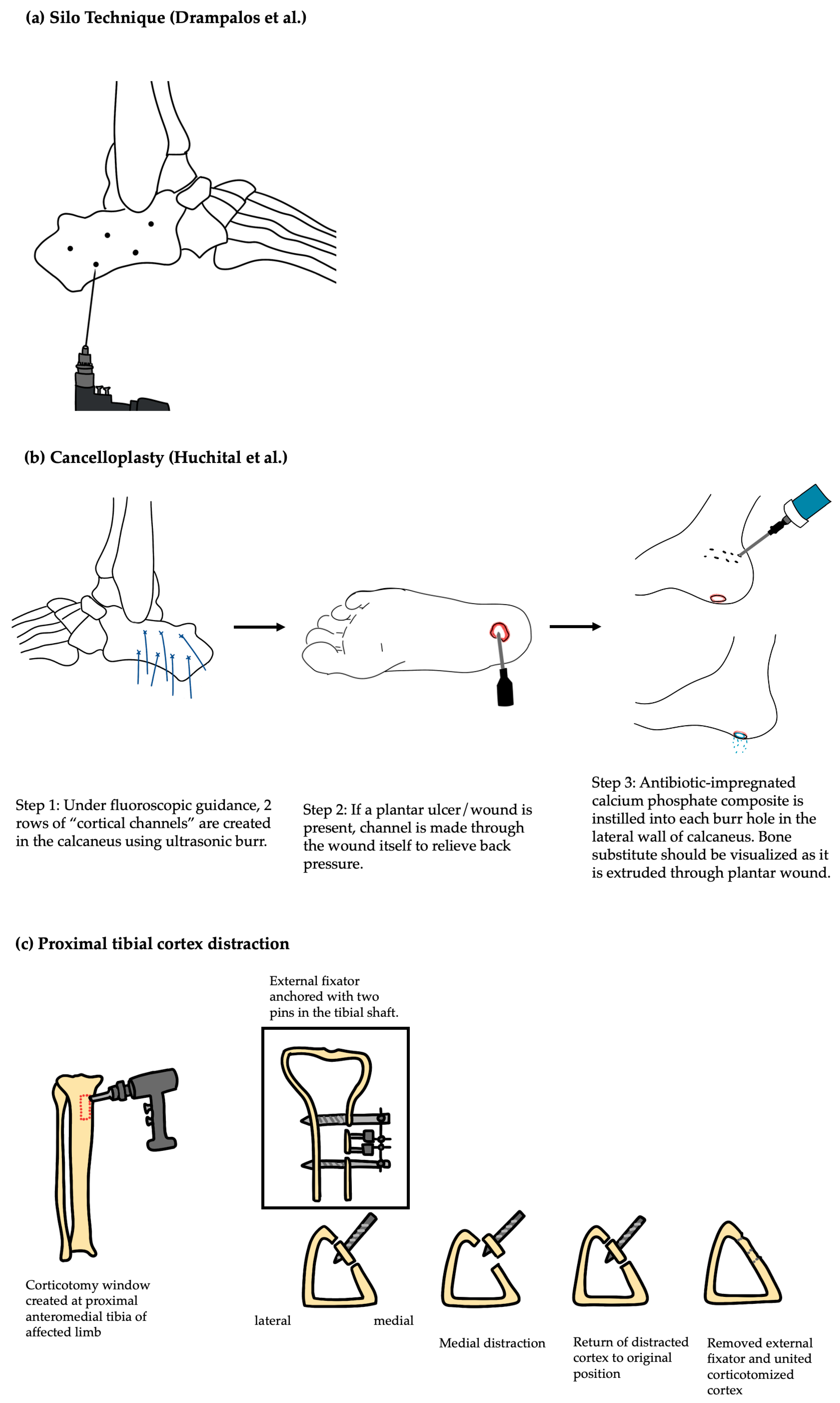 Microorganisms 13 01639 g001