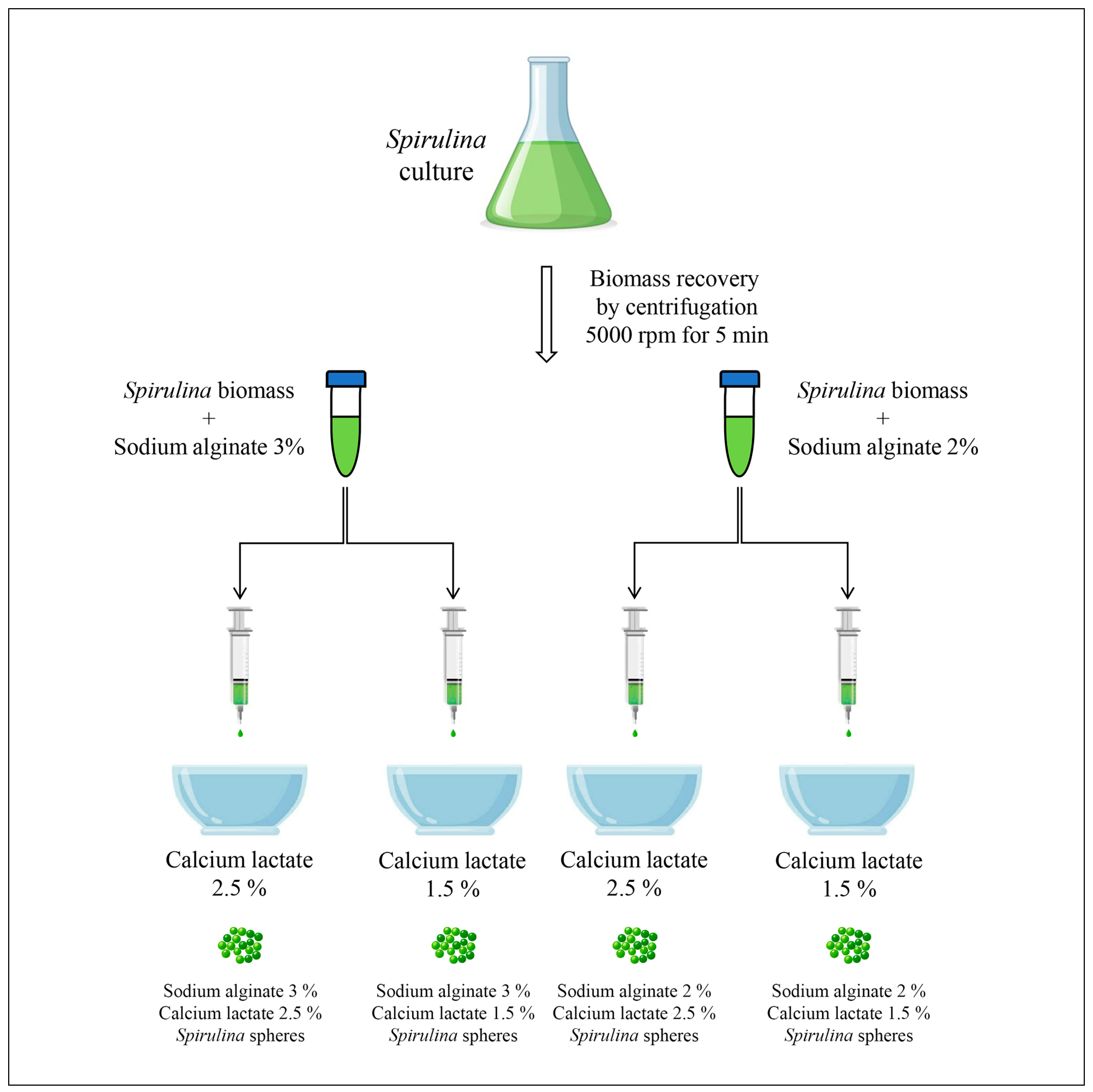 Microorganisms 13 01641 g001