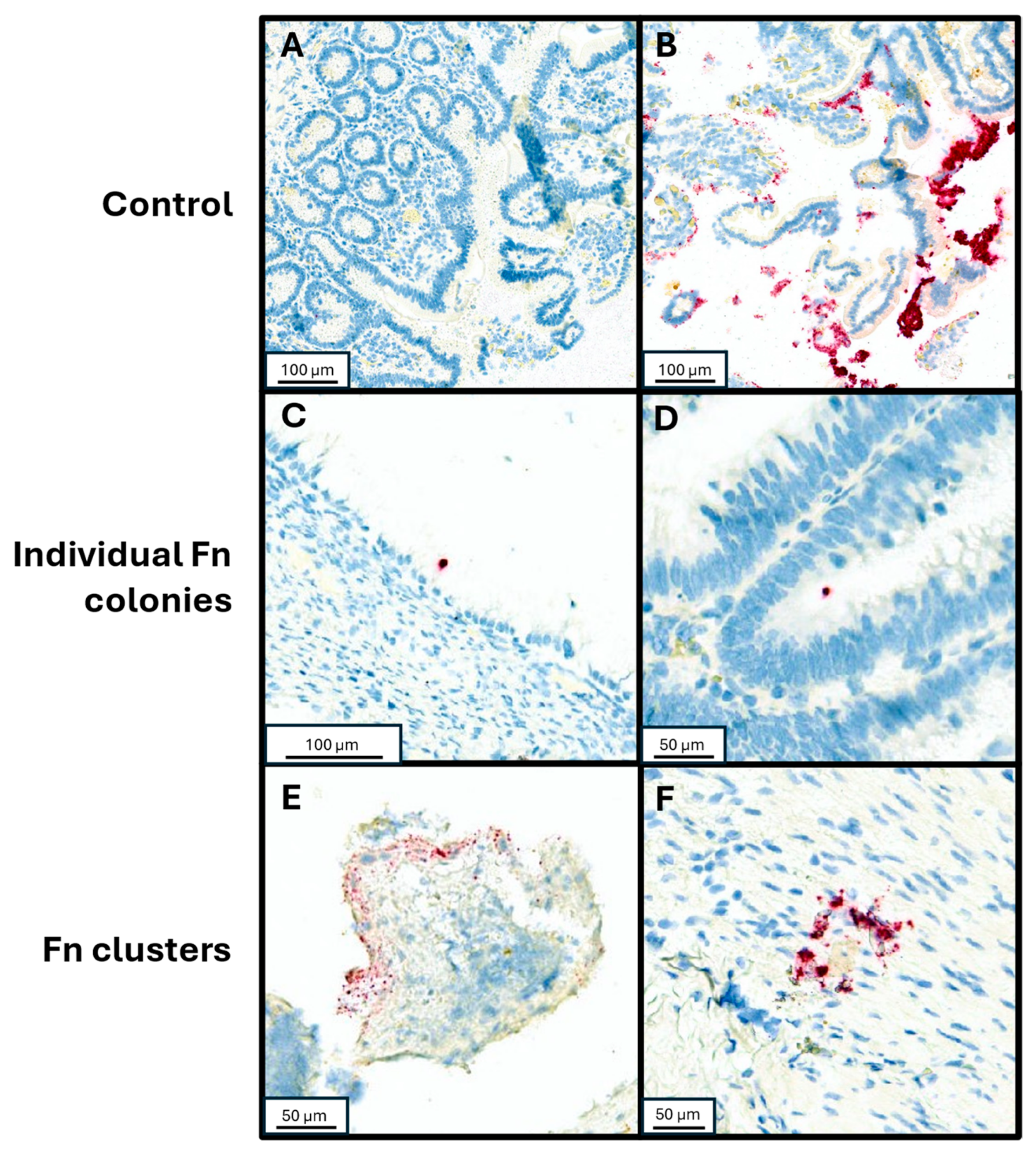 Microorganisms 13 01644 g001