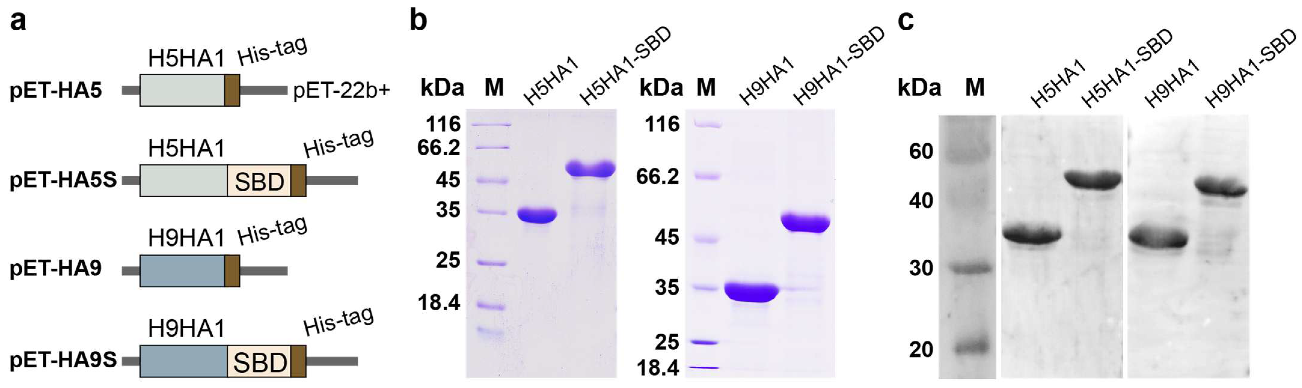 Microorganisms 13 01649 g001