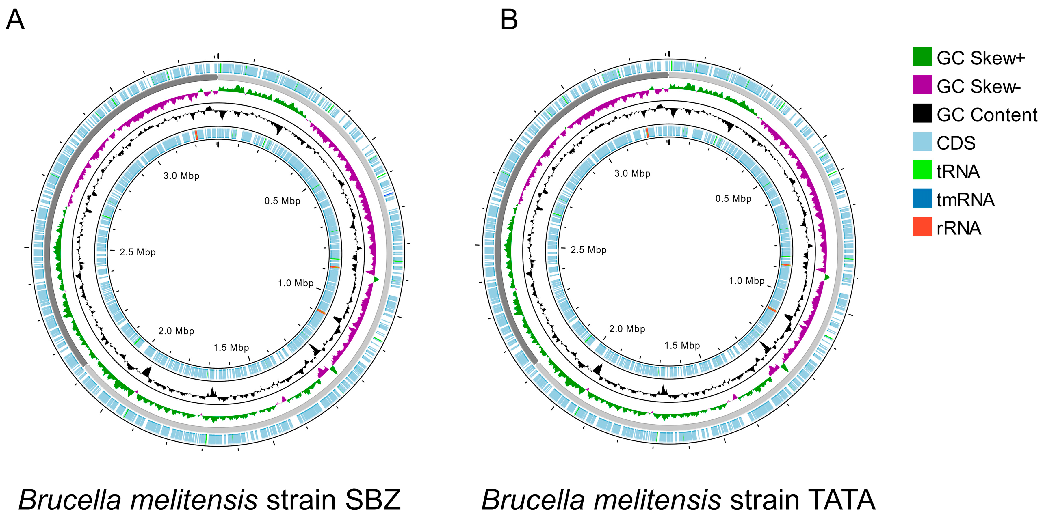 Microorganisms 13 01651 g001