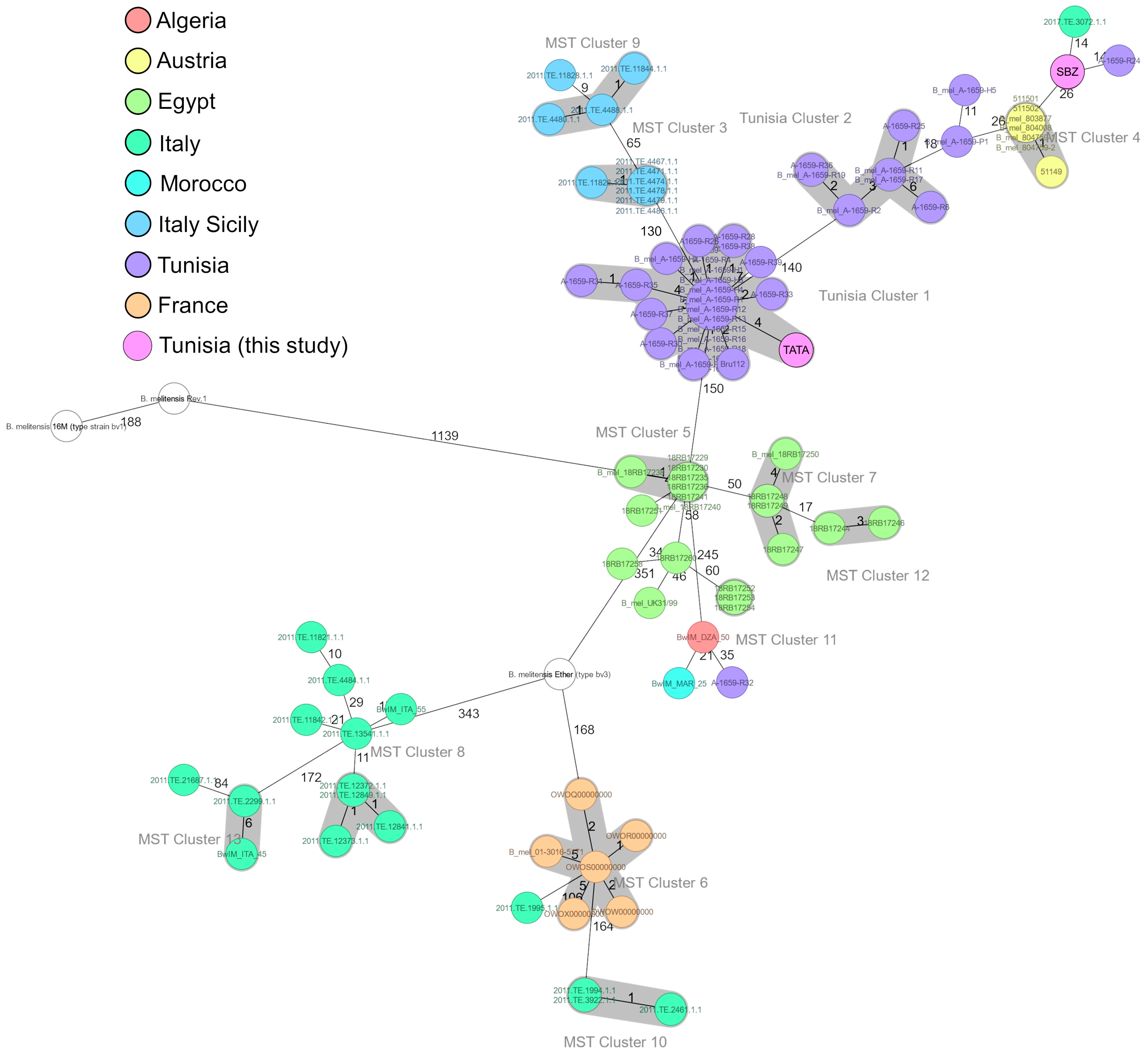 Microorganisms 13 01651 g003