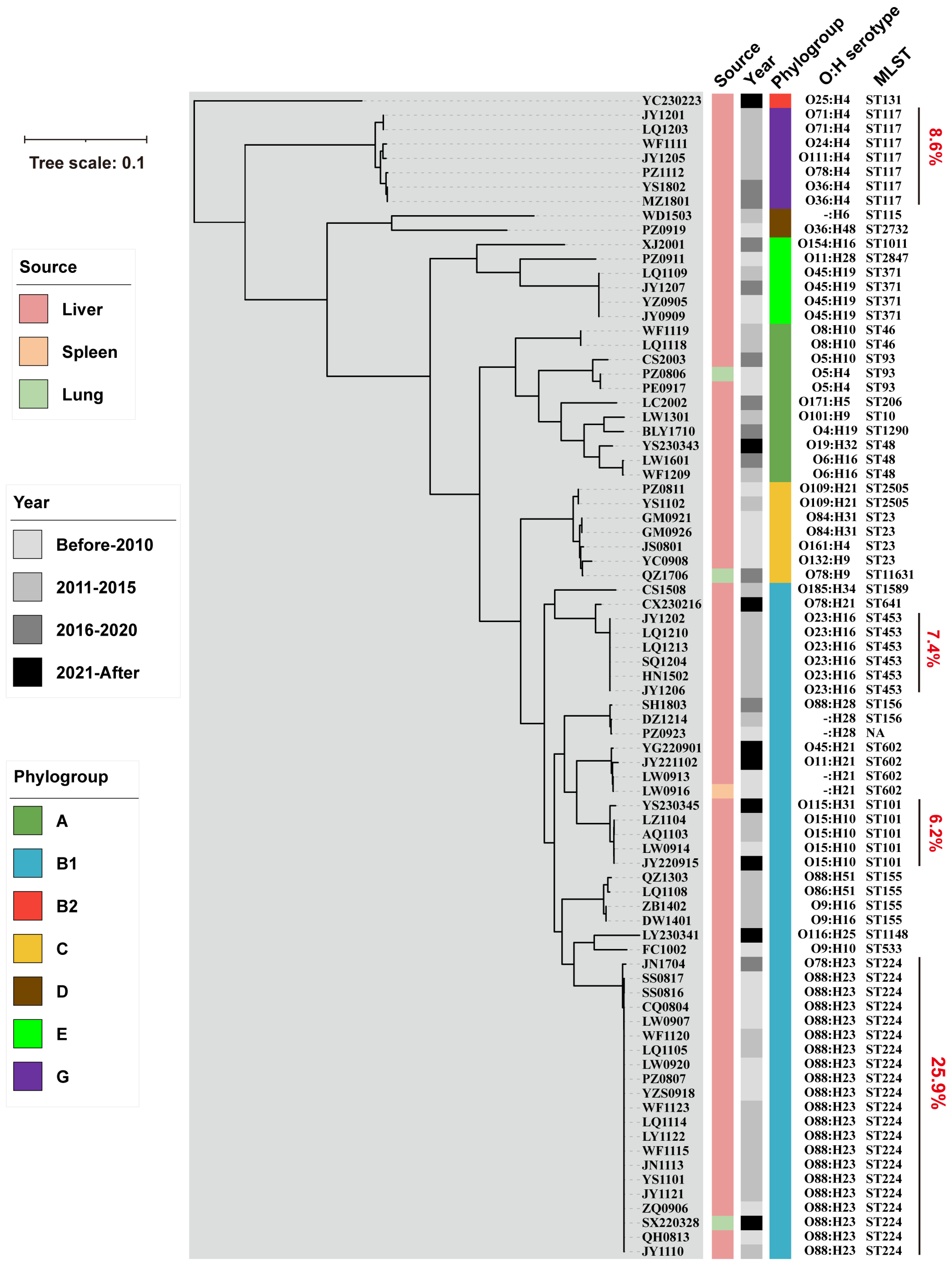 Microorganisms 13 01655 g001
