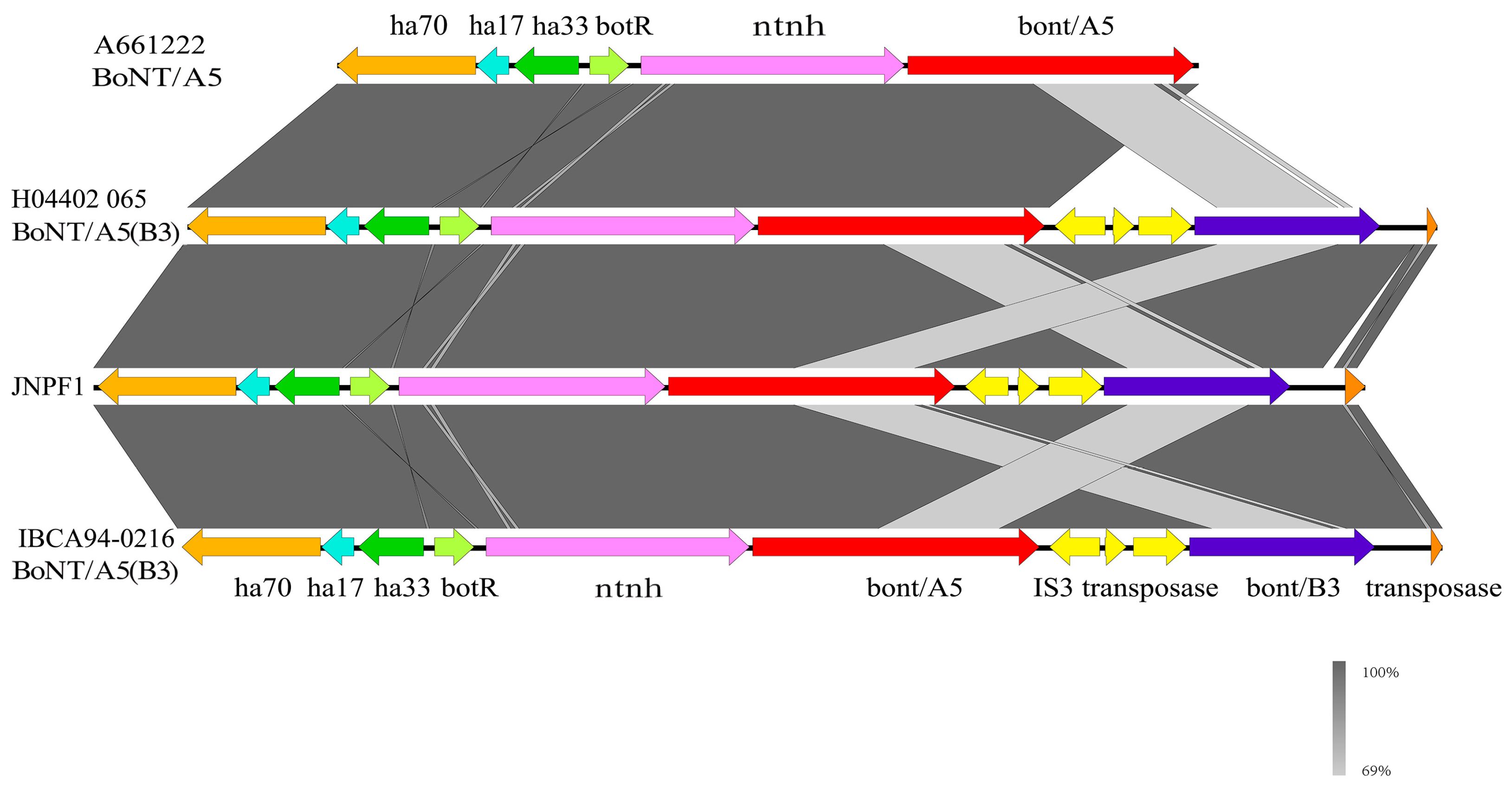 Microorganisms 13 01662 g003 Microorganisms 13 01662 g003