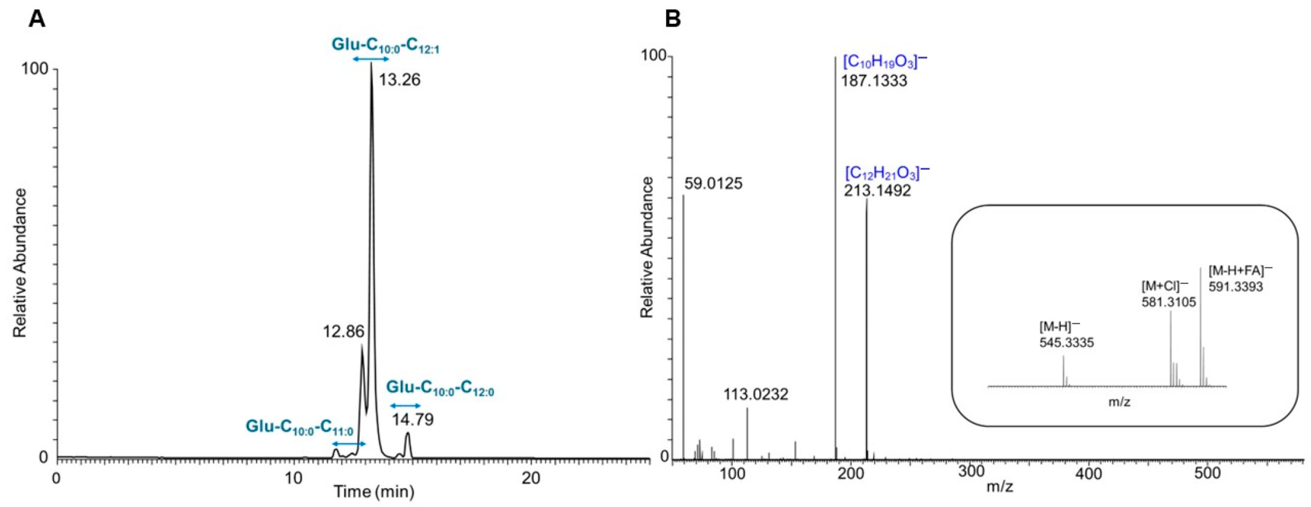 Microorganisms 13 01664 g005