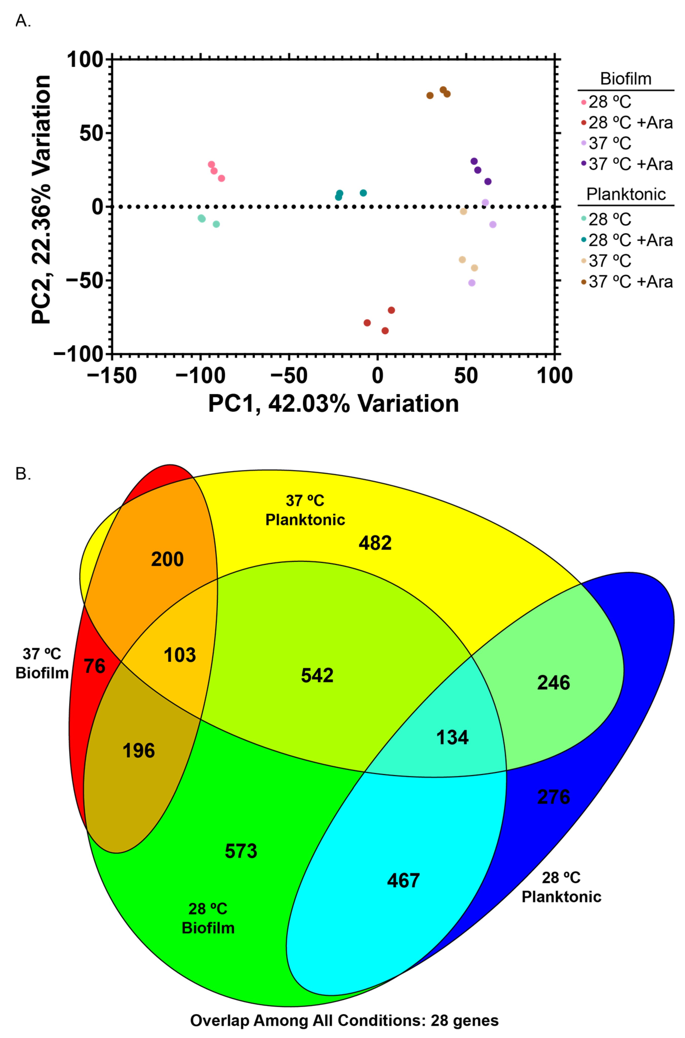 Microorganisms 13 01665 g004 Microorganisms 13 01665 g004