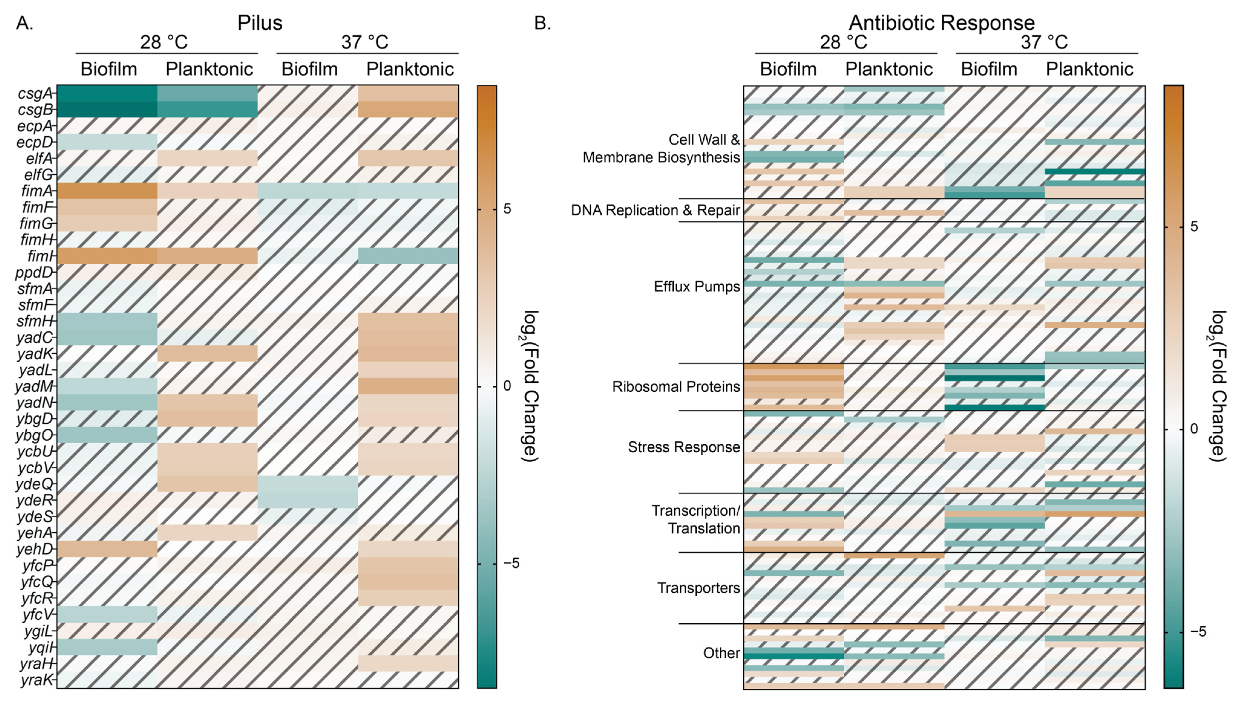 Microorganisms 13 01665 g006 Microorganisms 13 01665 g006