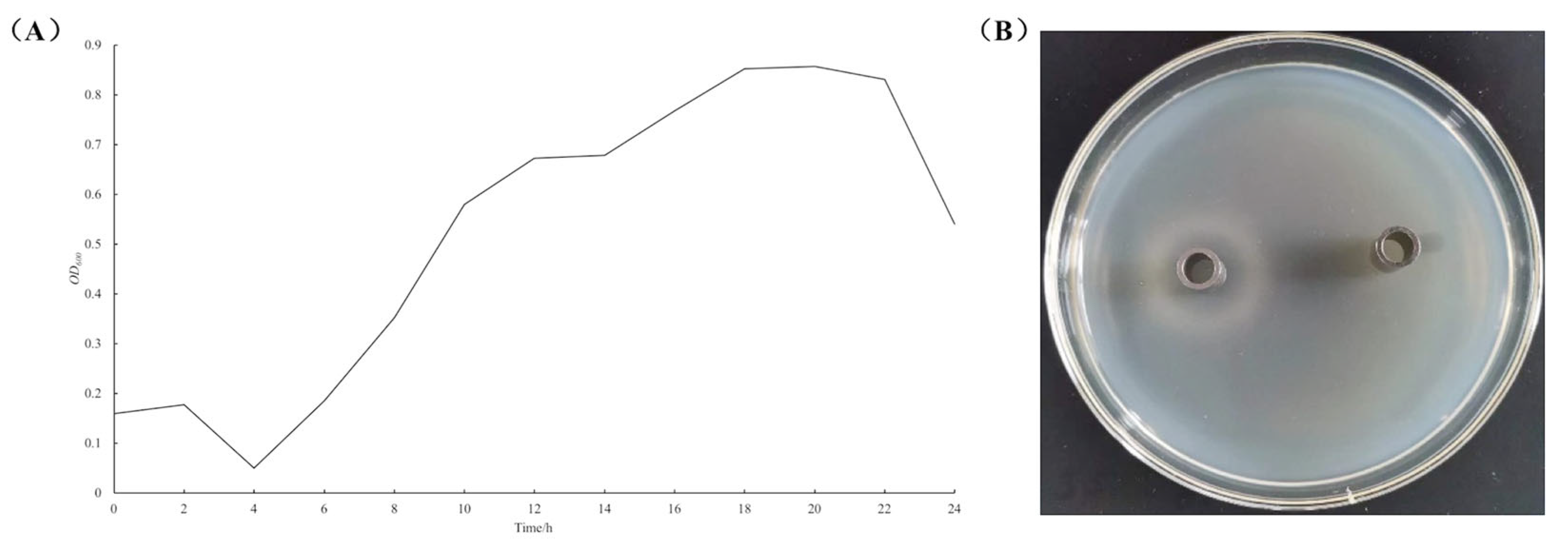 Microorganisms 13 01666 g002 Microorganisms 13 01666 g002