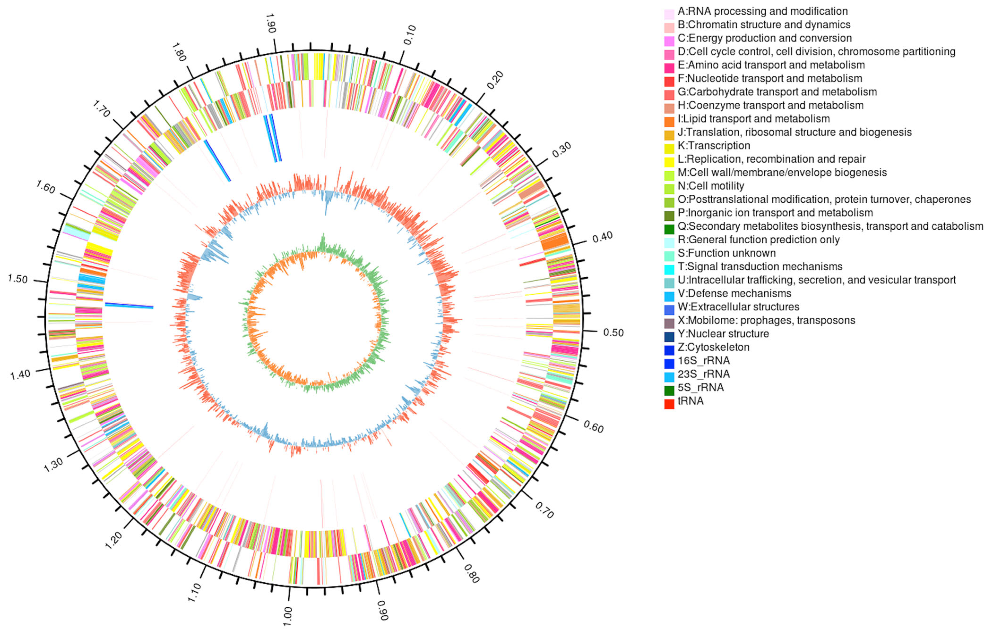 Microorganisms 13 01666 g003 Microorganisms 13 01666 g003