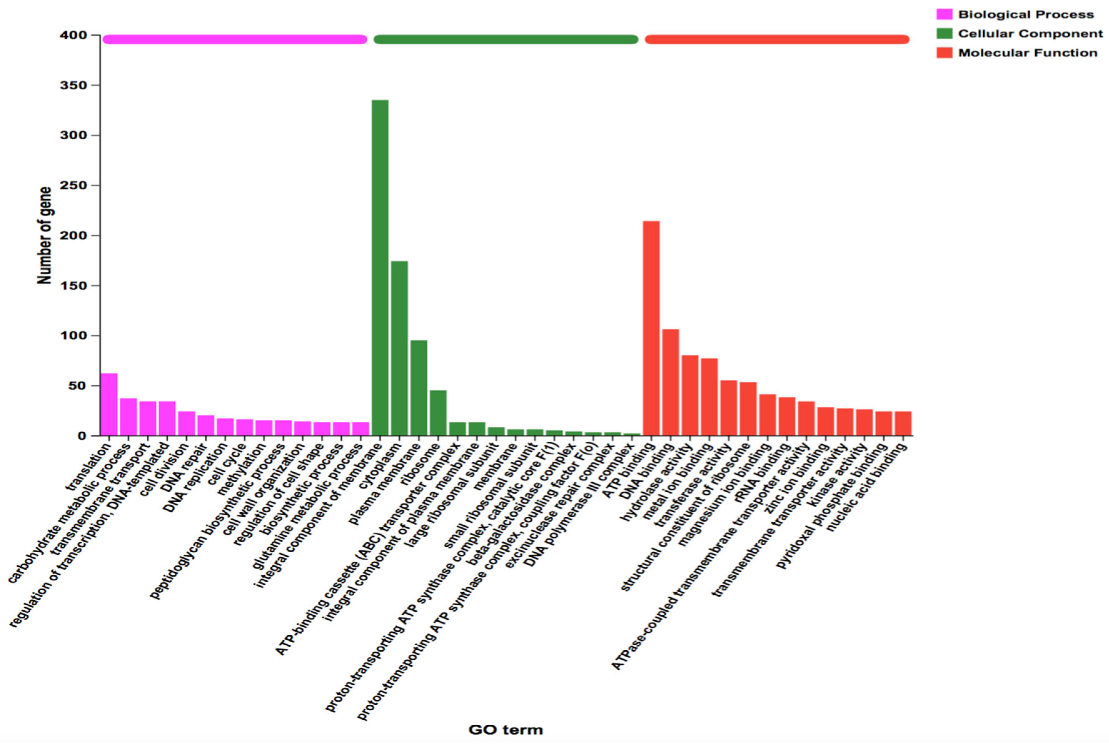 Microorganisms 13 01666 g005 Microorganisms 13 01666 g005