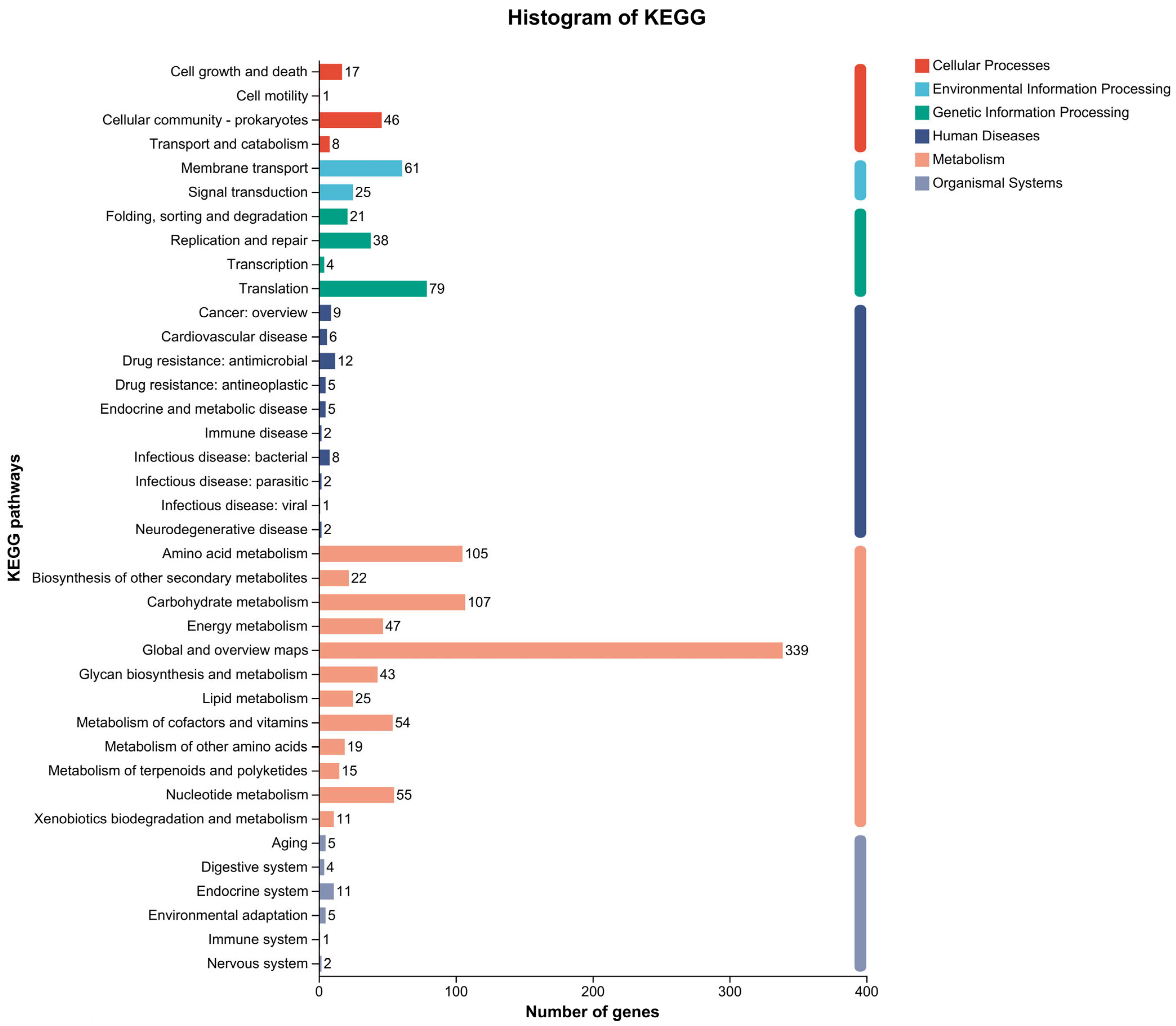 Microorganisms 13 01666 g006 Microorganisms 13 01666 g006