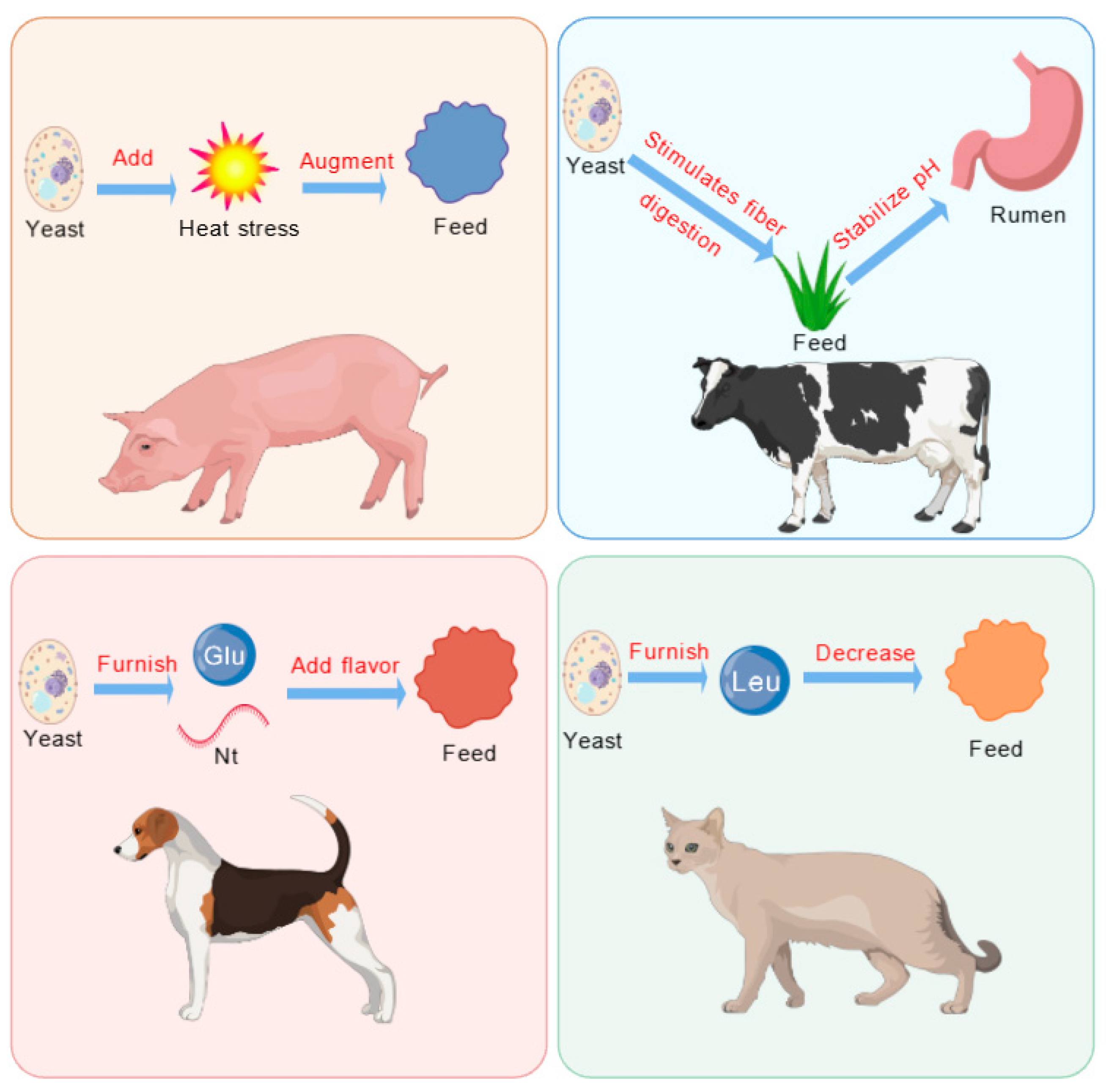 Microorganisms 13 01669 g002