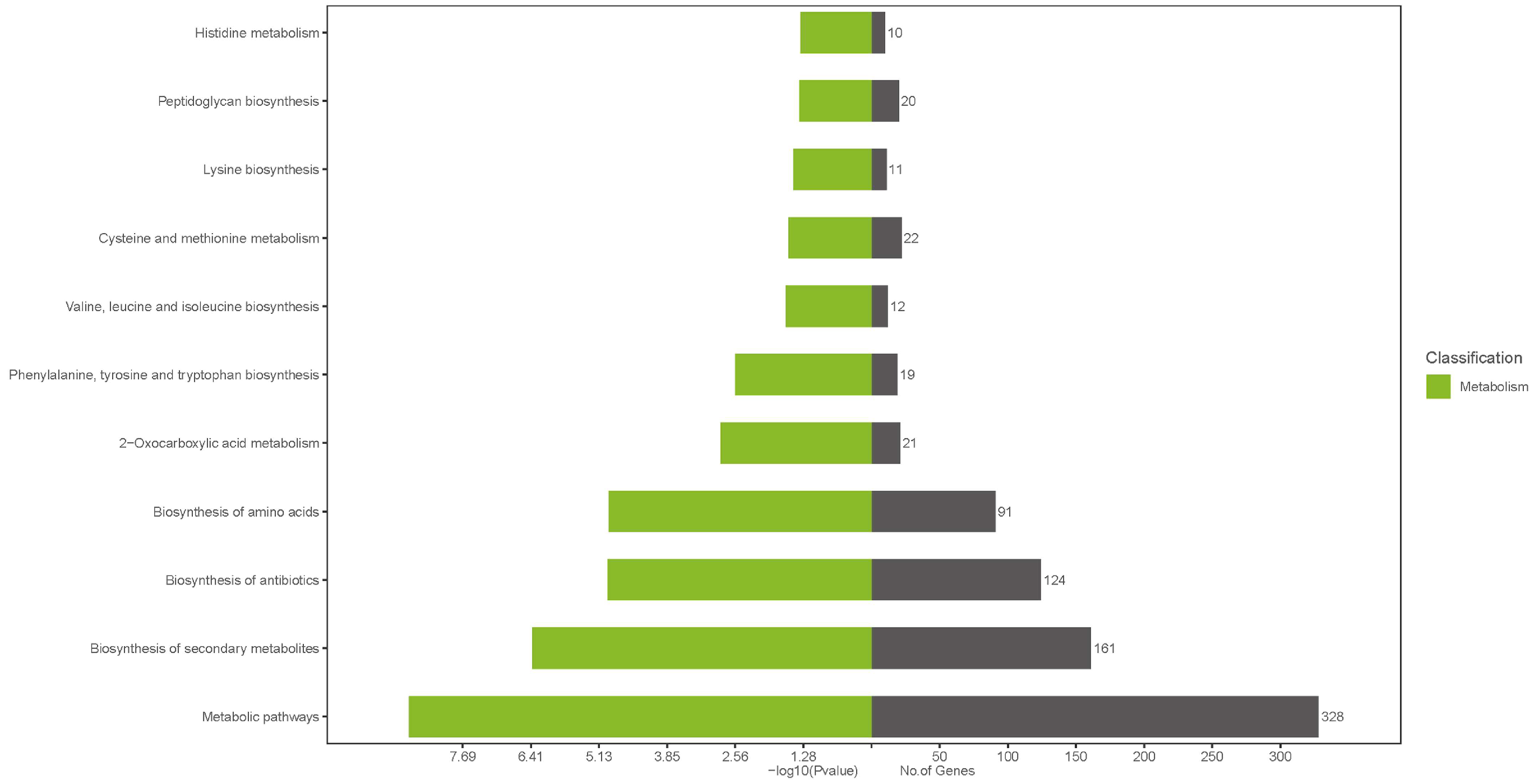 Microorganisms 13 01674 g006