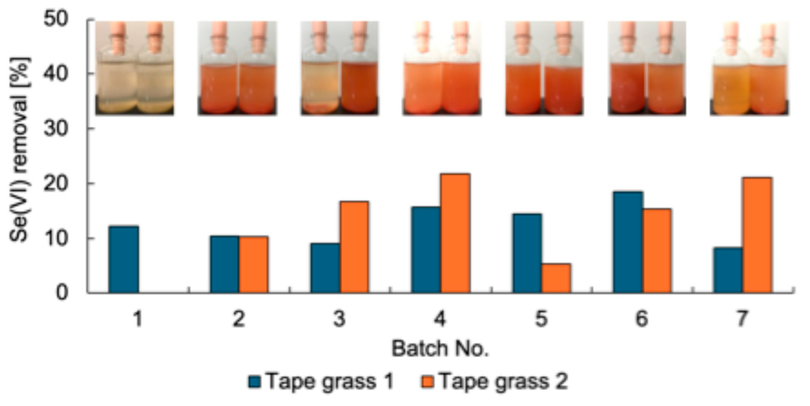 Microorganisms 13 01675 g001