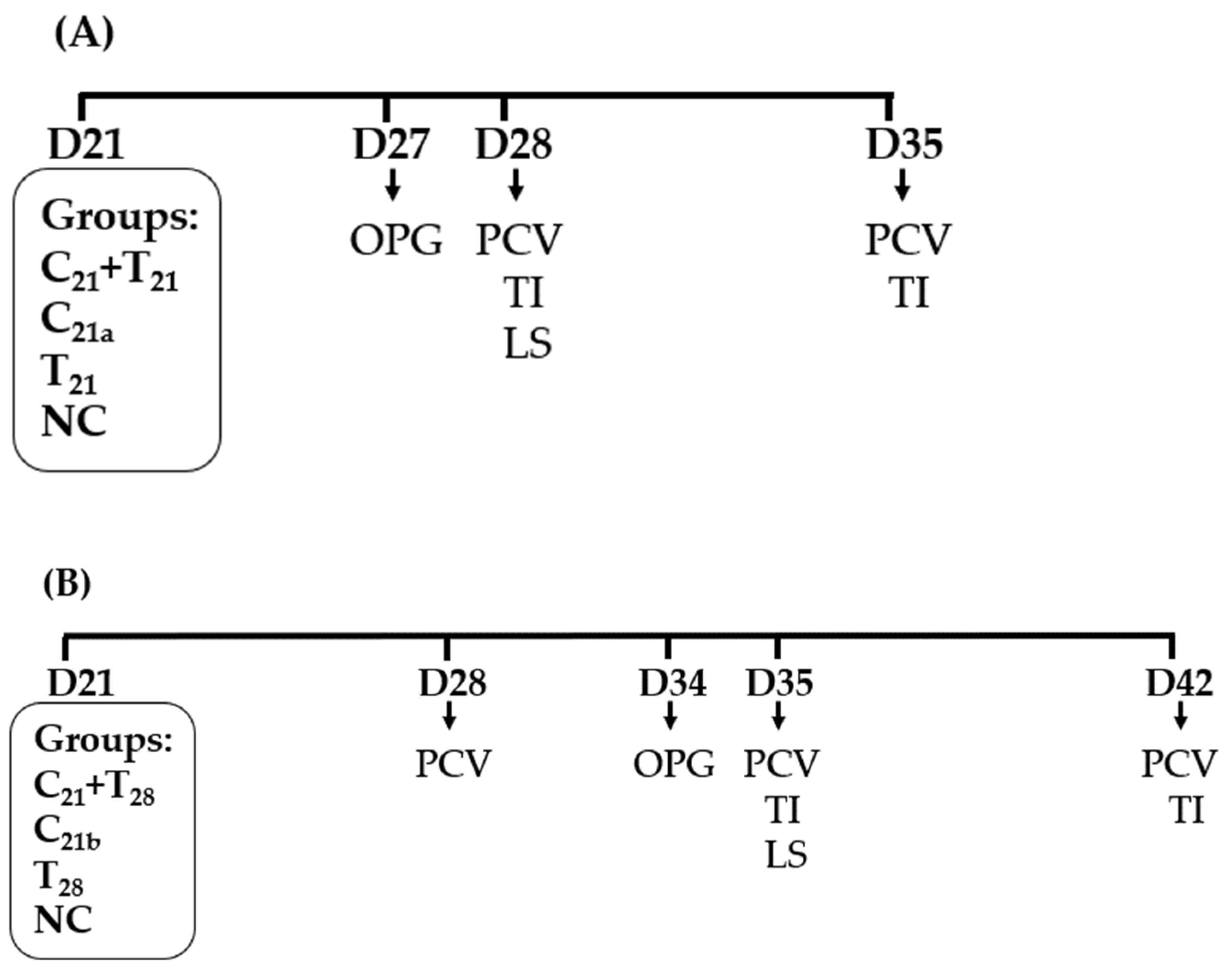 Microorganisms 13 01676 g001 Microorganisms 13 01676 g001