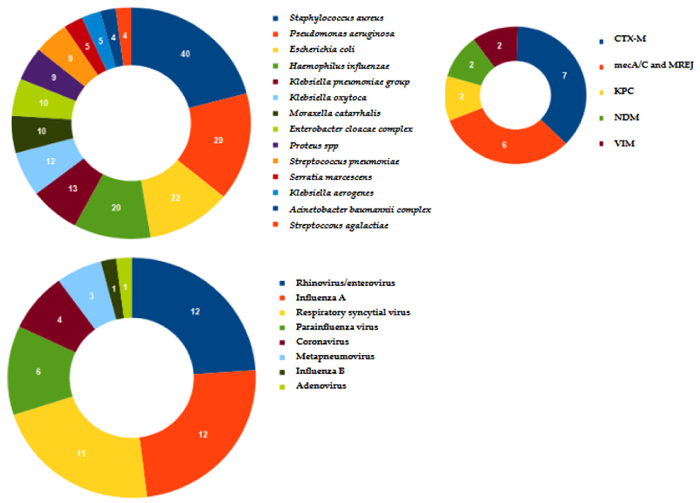 Microorganisms 13 01678 g001
