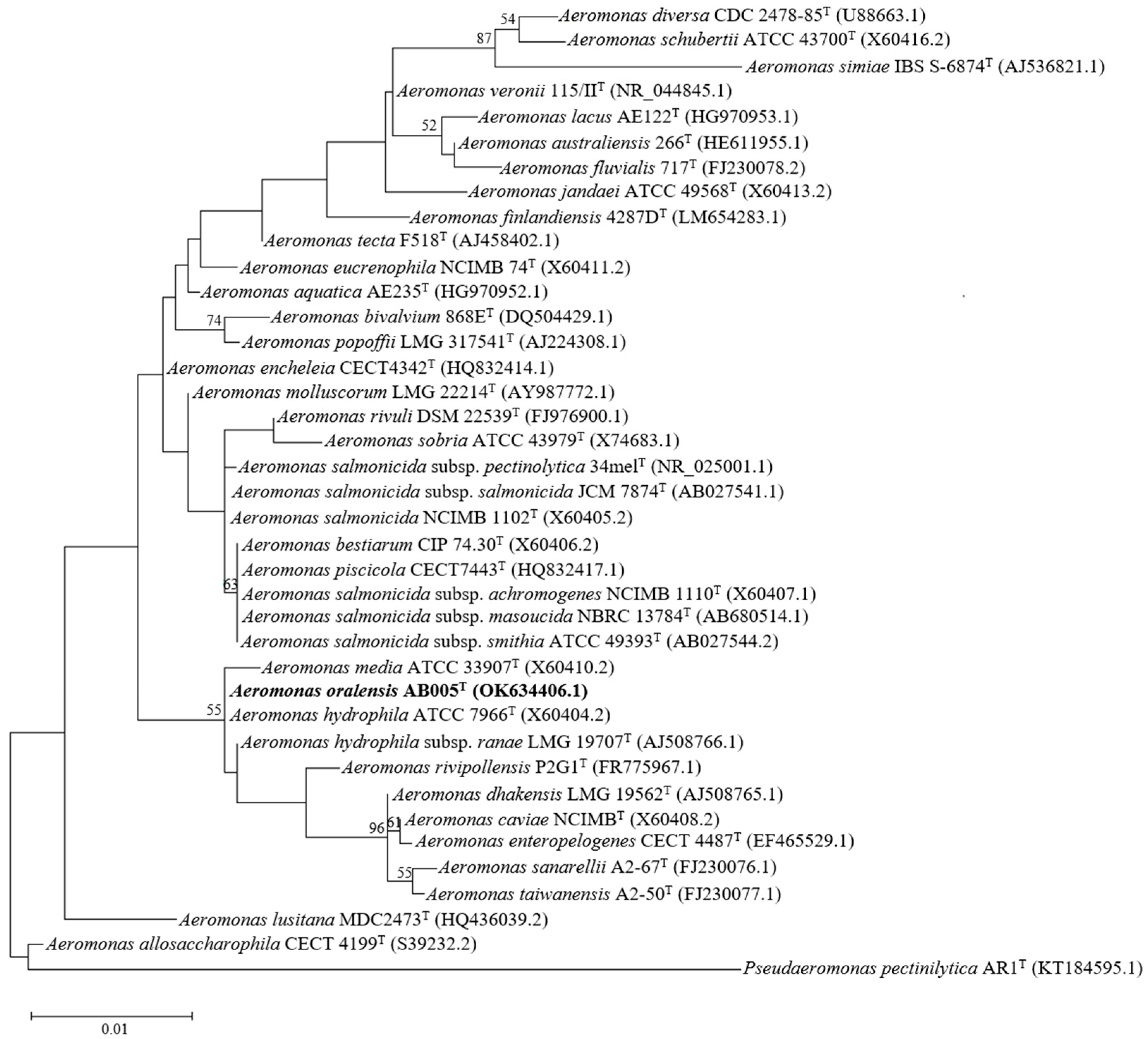 Microorganisms 13 01680 g001