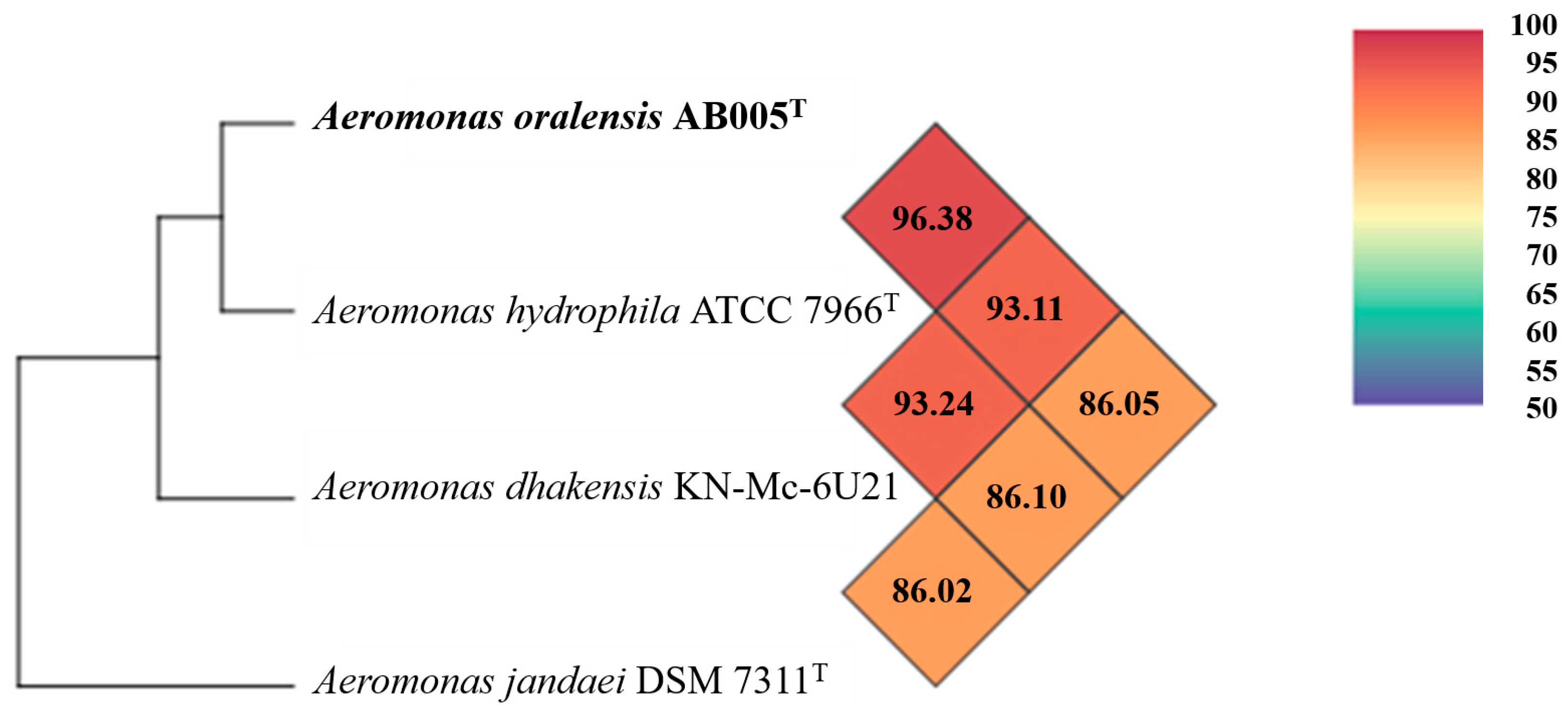 Microorganisms 13 01680 g004