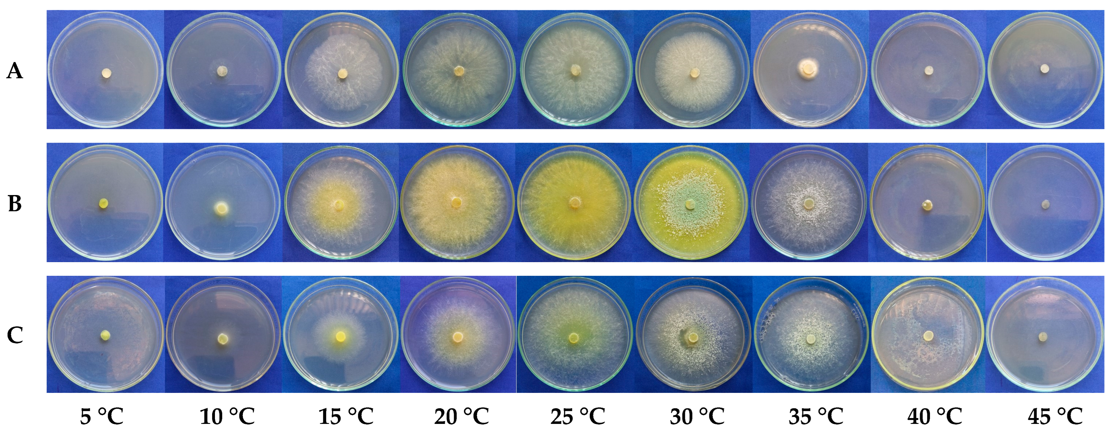 Microorganisms 13 01689 g003 Microorganisms 13 01689 g003