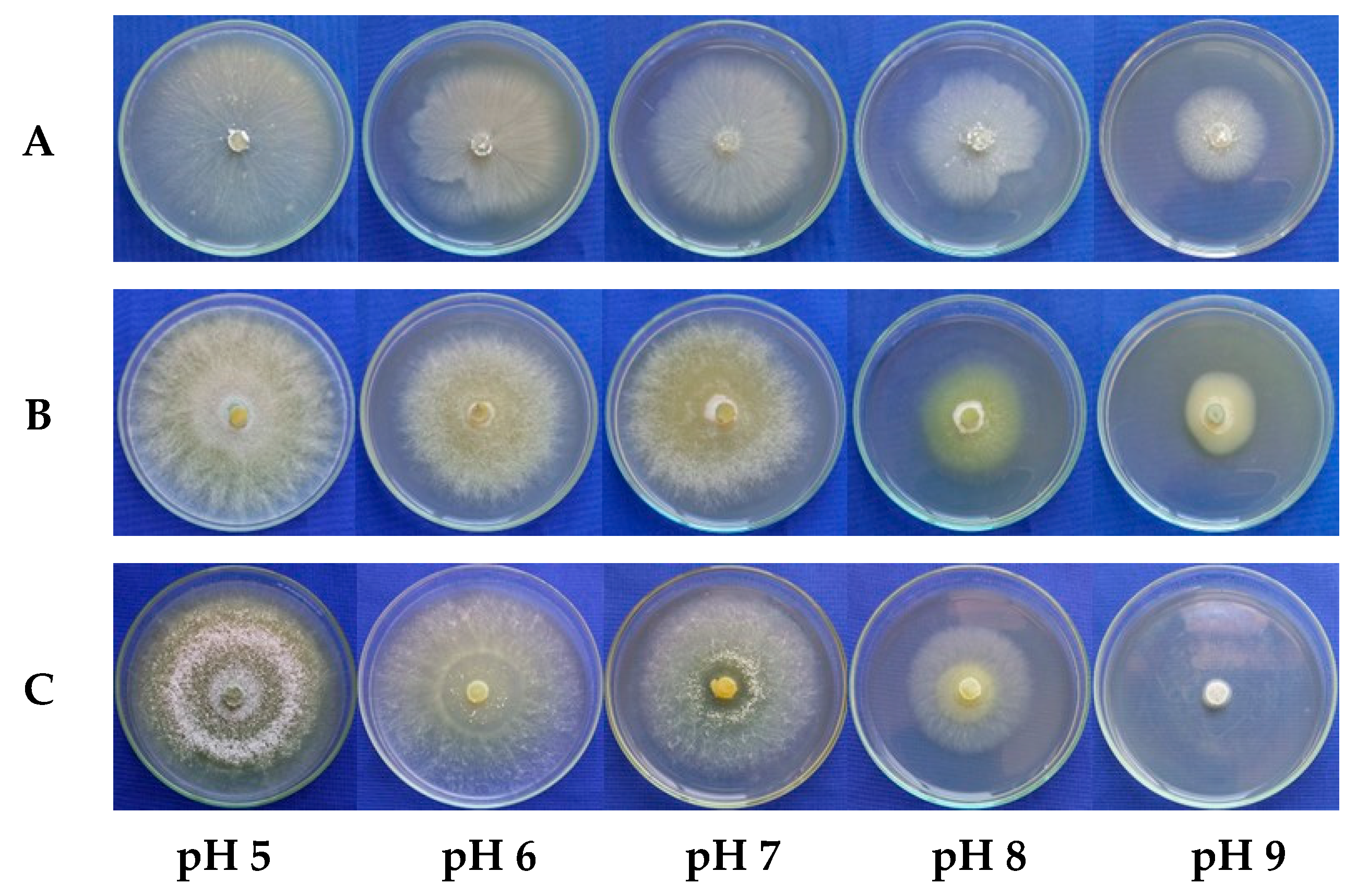 Microorganisms 13 01689 g005 Microorganisms 13 01689 g005