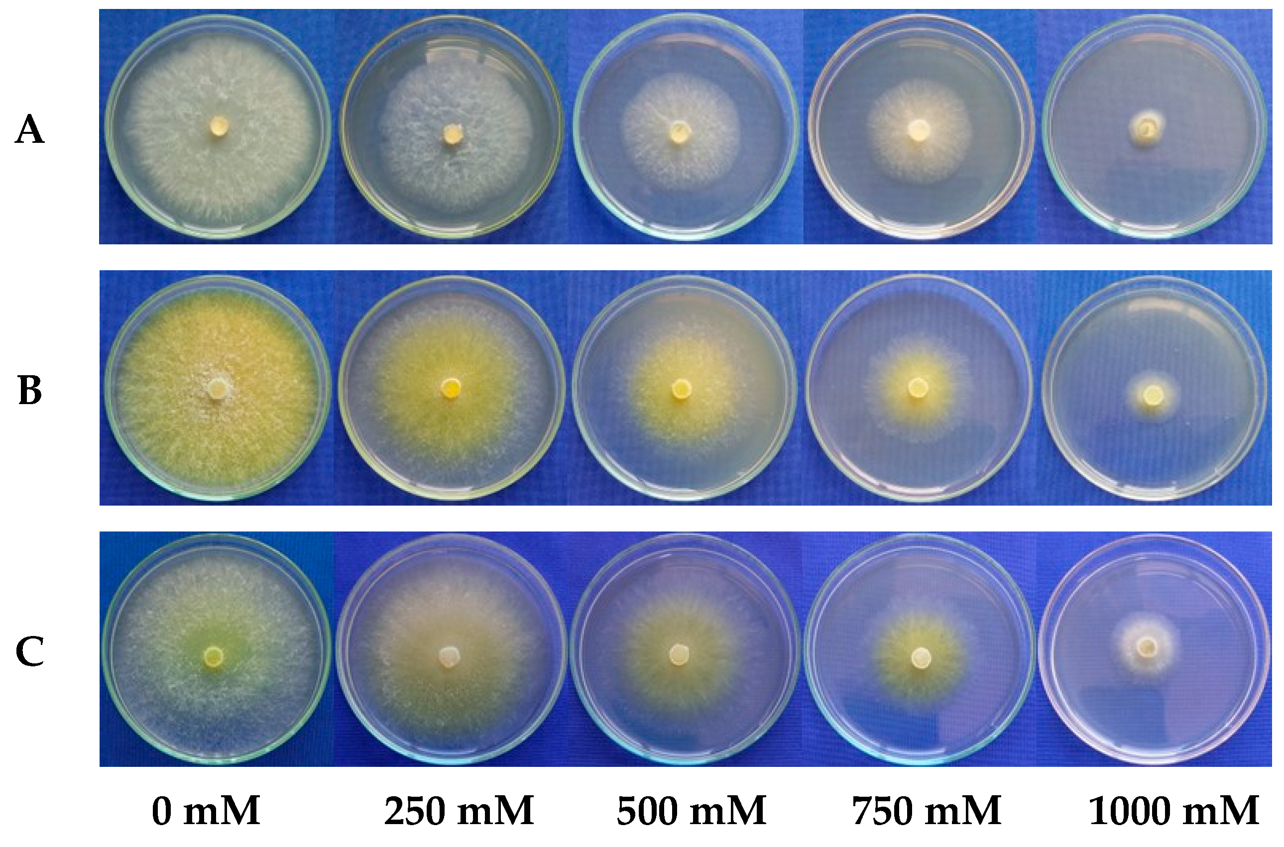 Microorganisms 13 01689 g007 Microorganisms 13 01689 g007