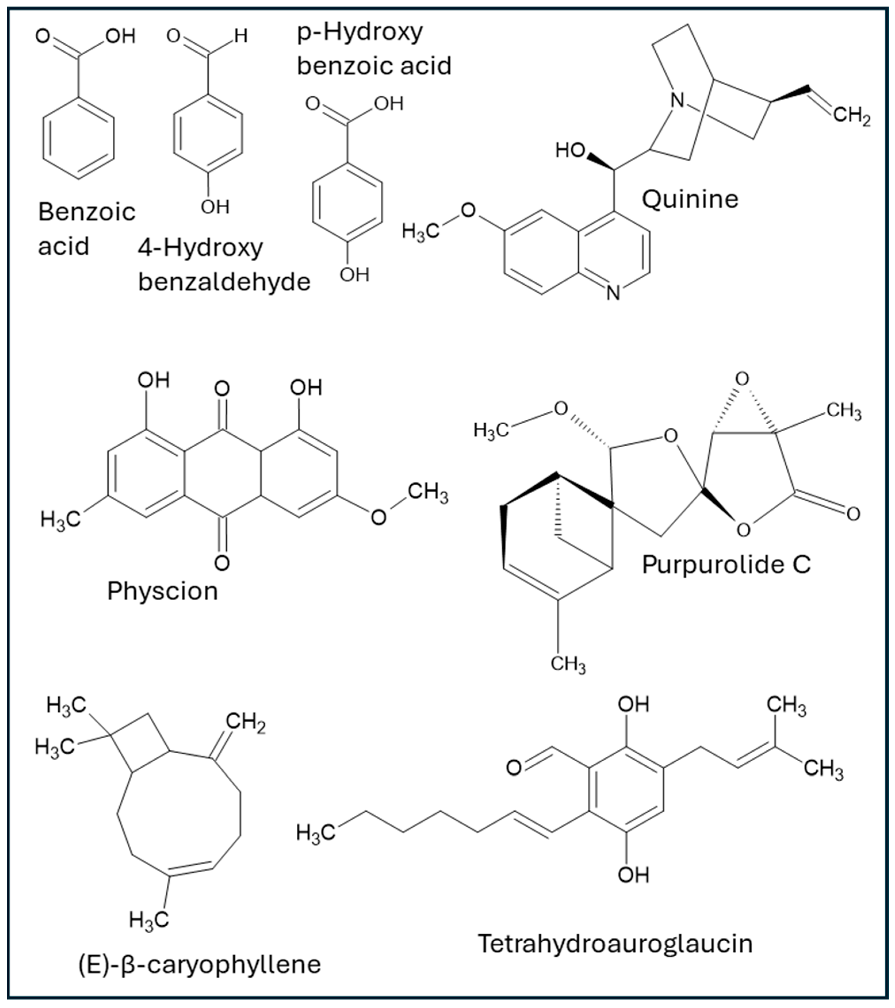 Microorganisms 13 01691 g001