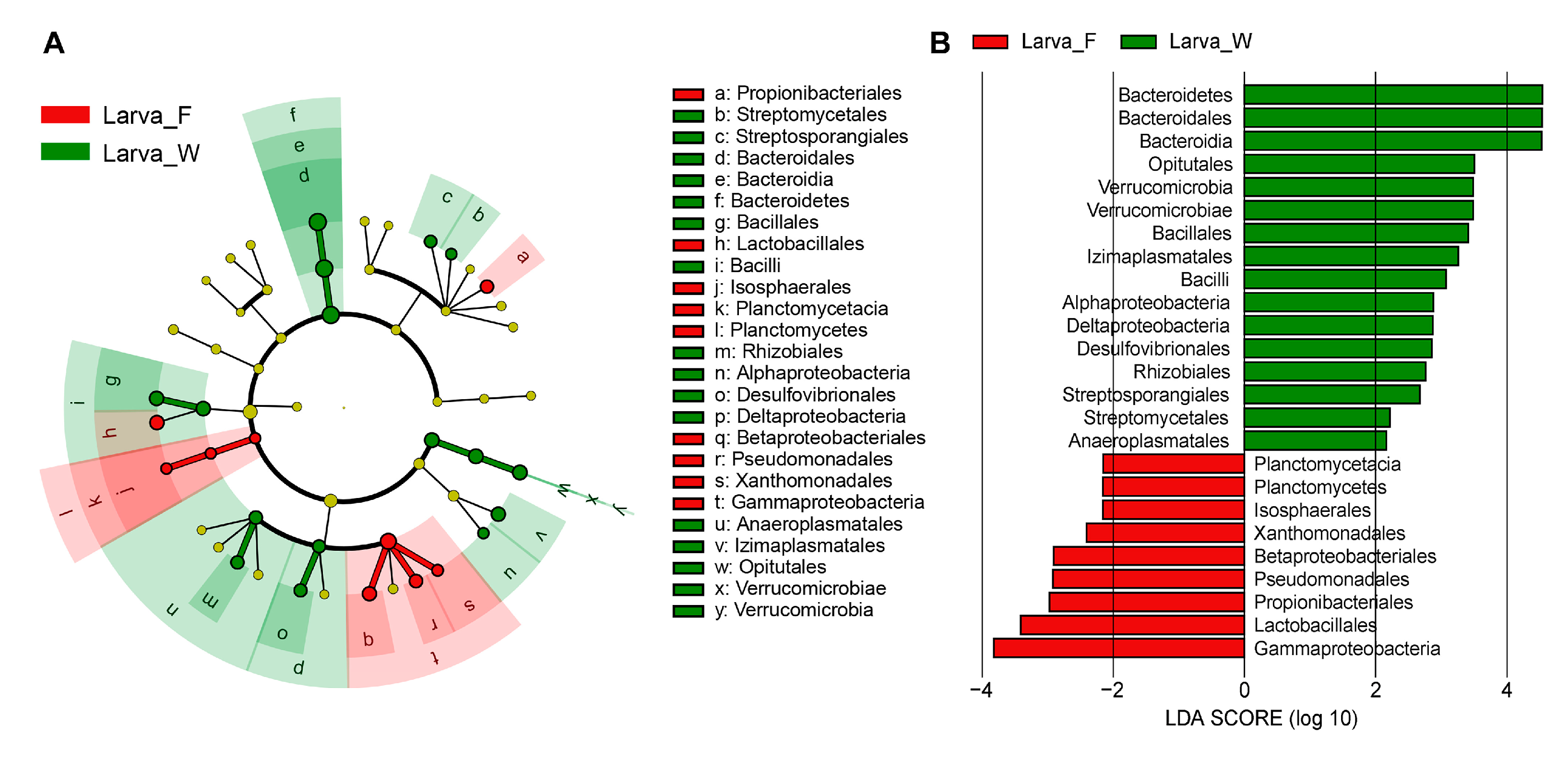 Microorganisms 13 01692 g004