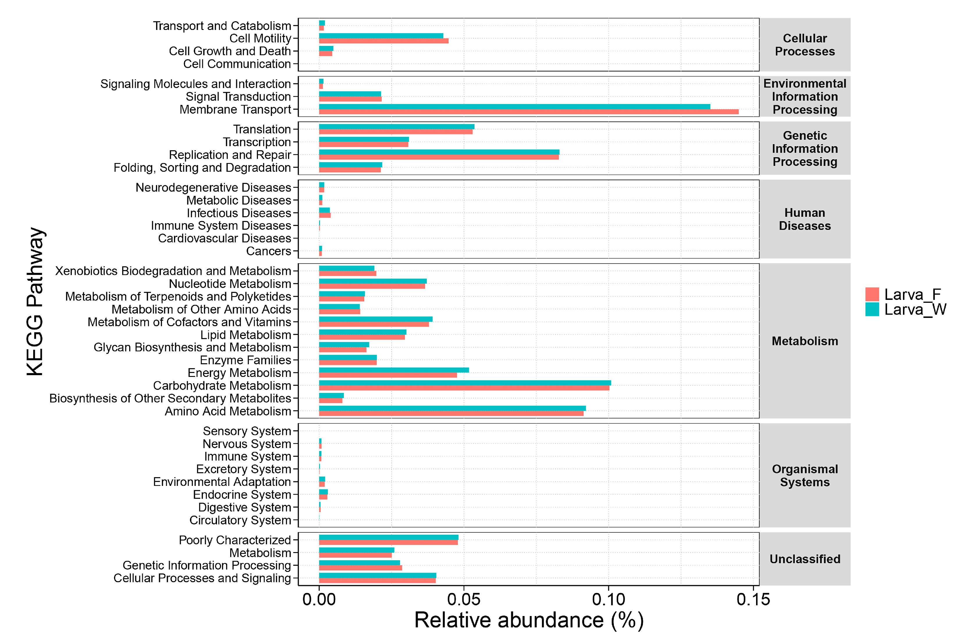 Microorganisms 13 01692 g005