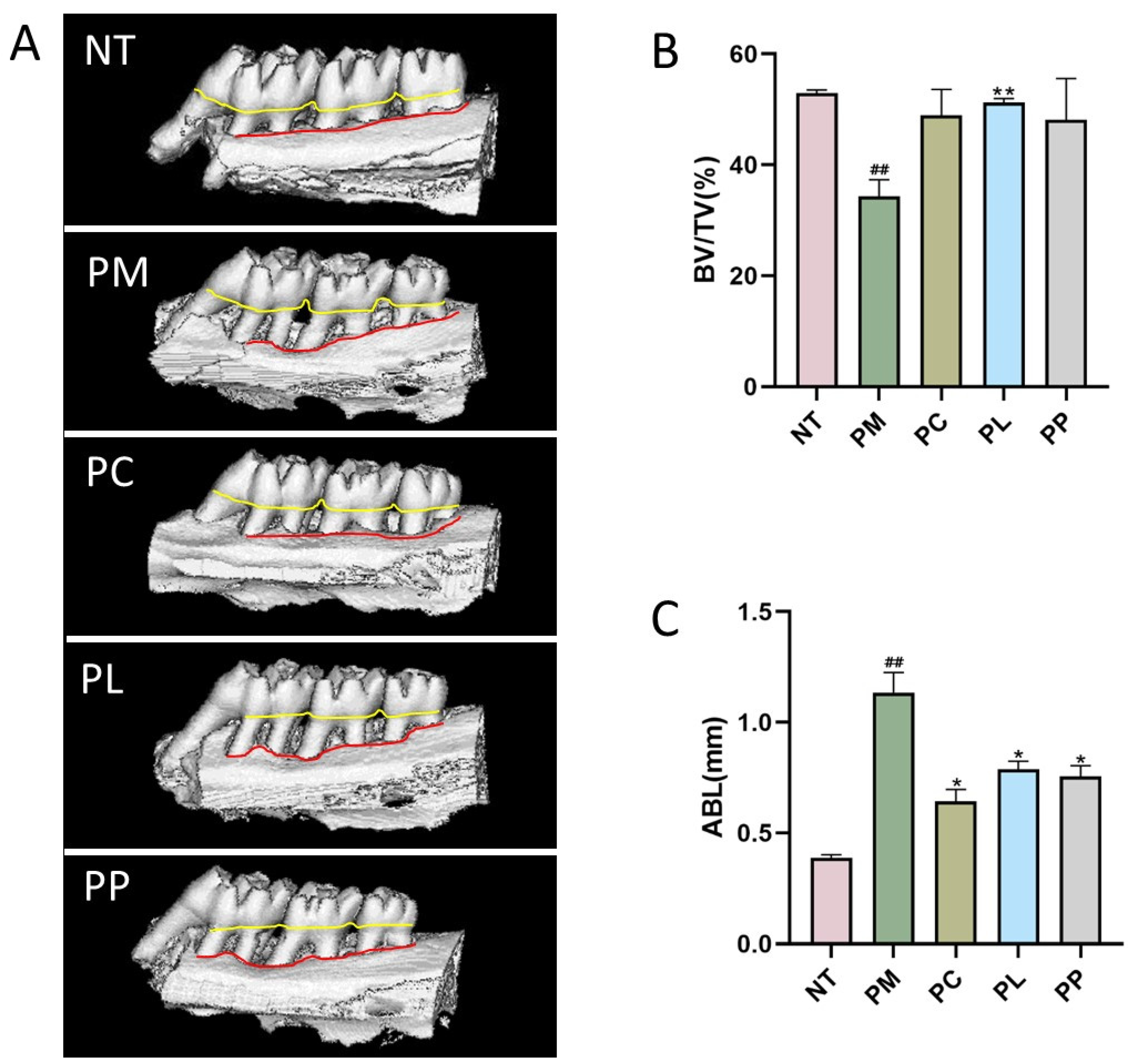 Microorganisms 13 01701 g003