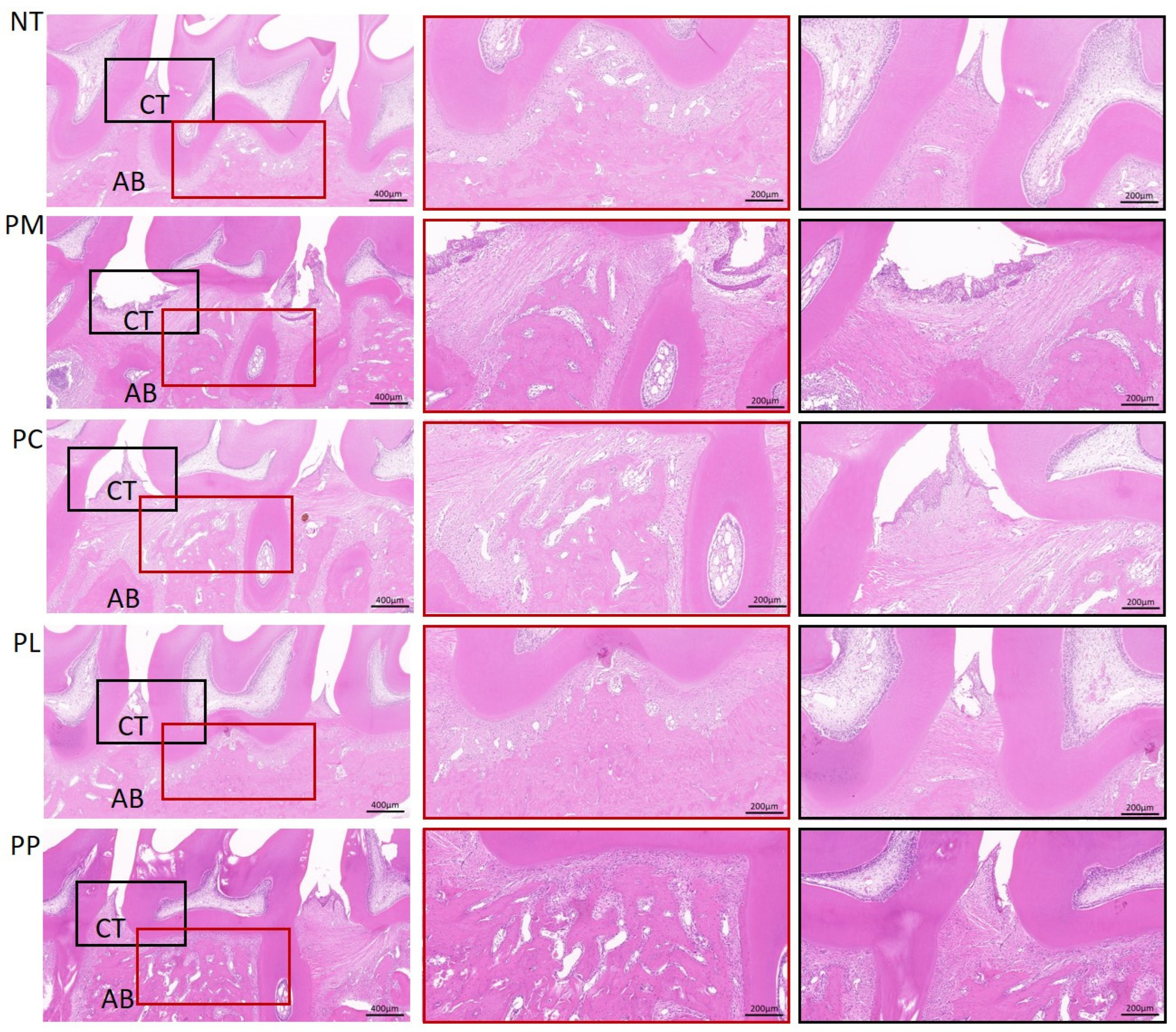 Microorganisms 13 01701 g004