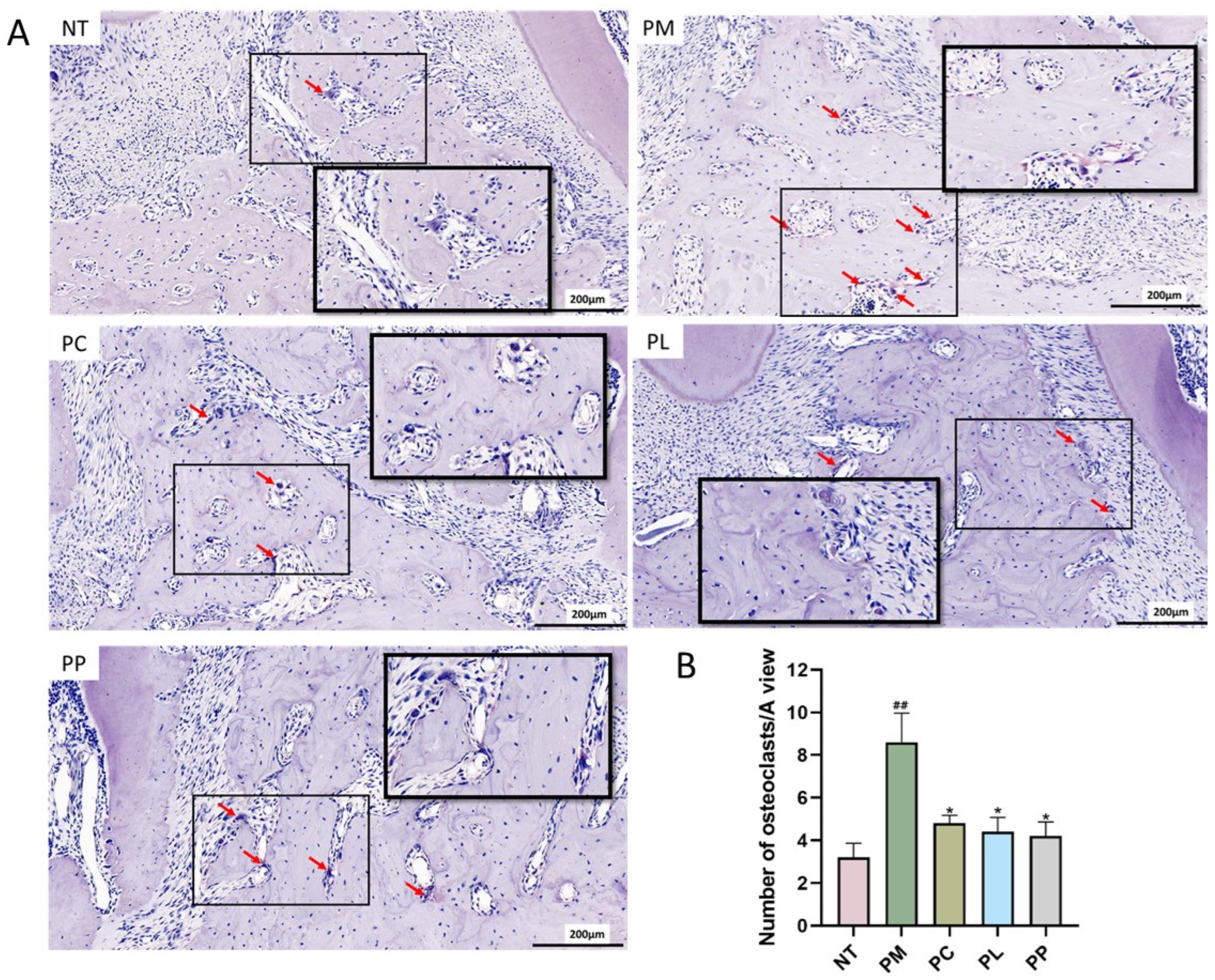 Microorganisms 13 01701 g005