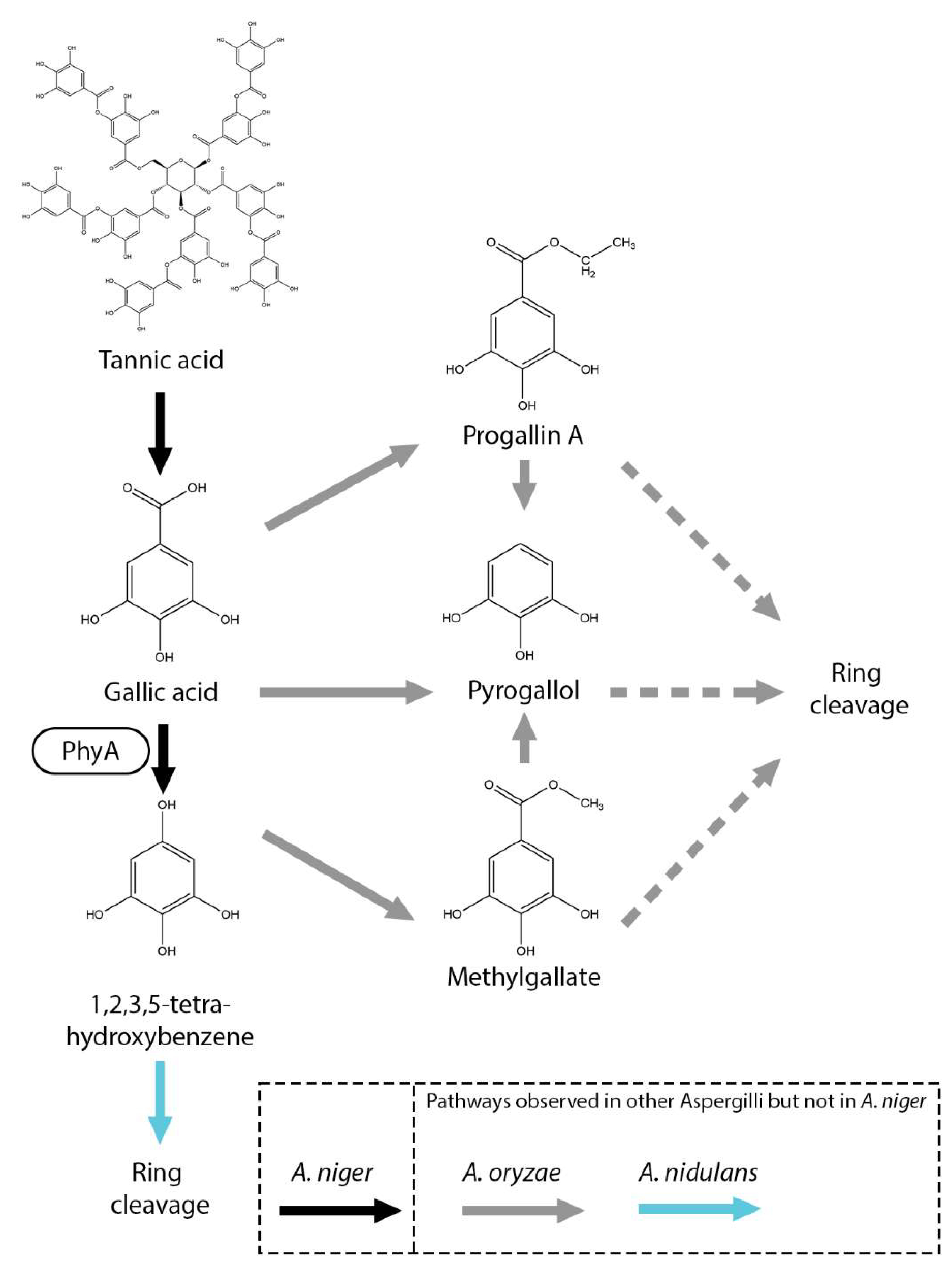 Microorganisms 13 01718 g005