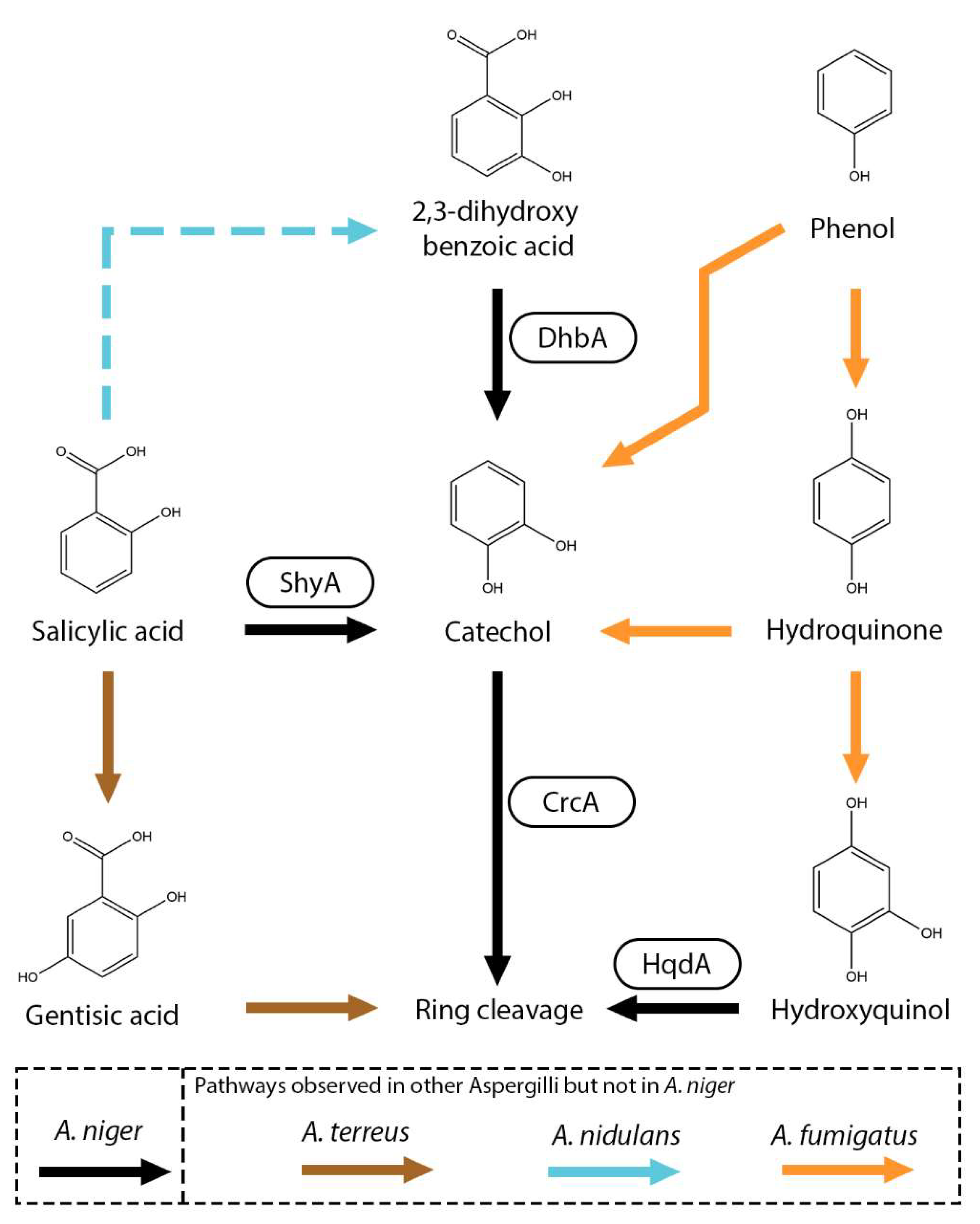 Microorganisms 13 01718 g006