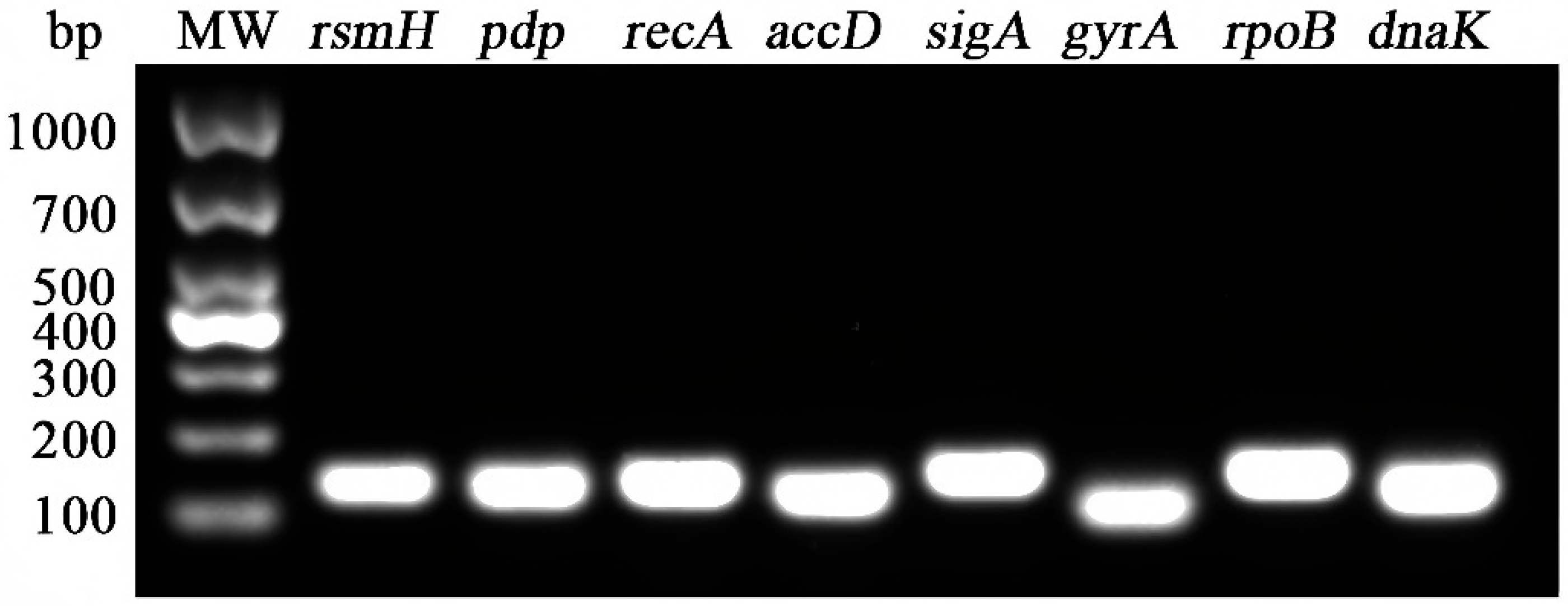 Microorganisms 13 01721 g001