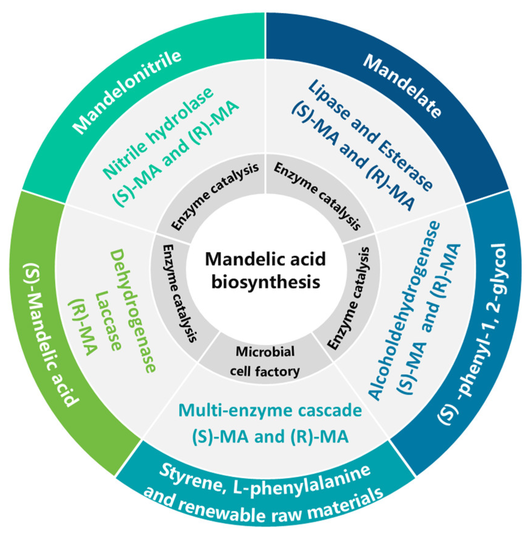 Microorganisms 13 01722 g002 Microorganisms 13 01722 g002