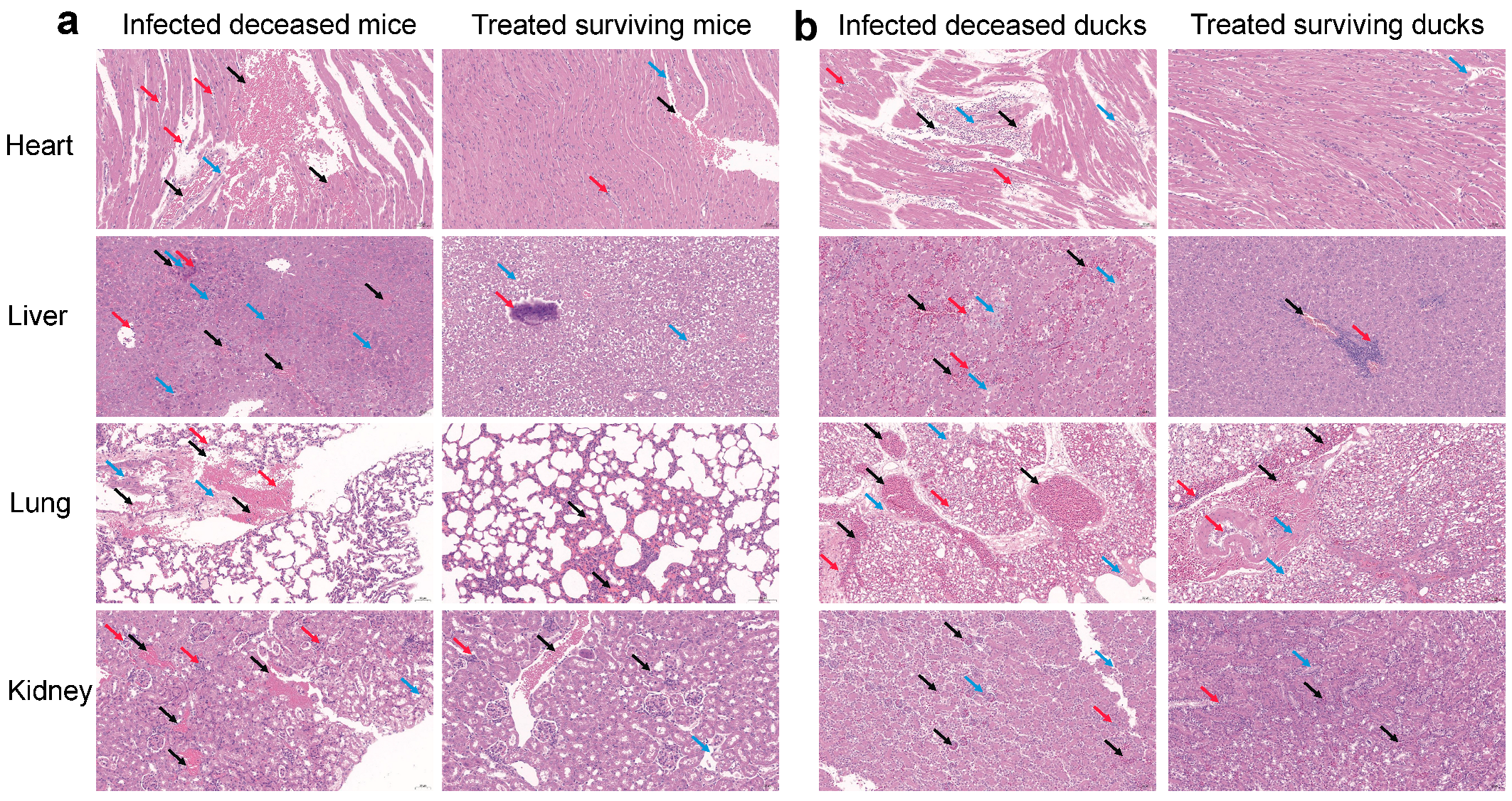 Microorganisms 13 01724 g003