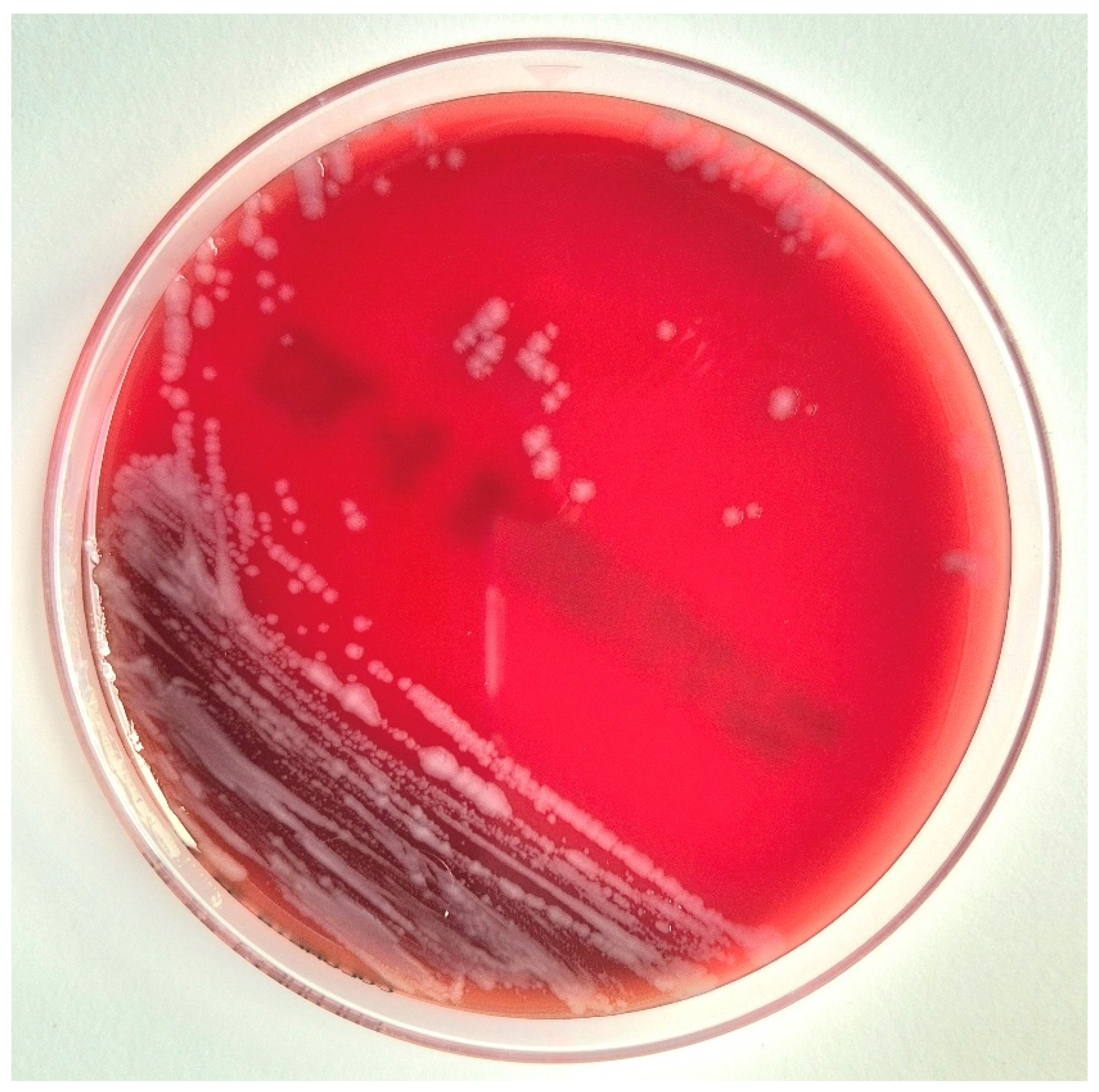 Microorganisms 13 01725 g002