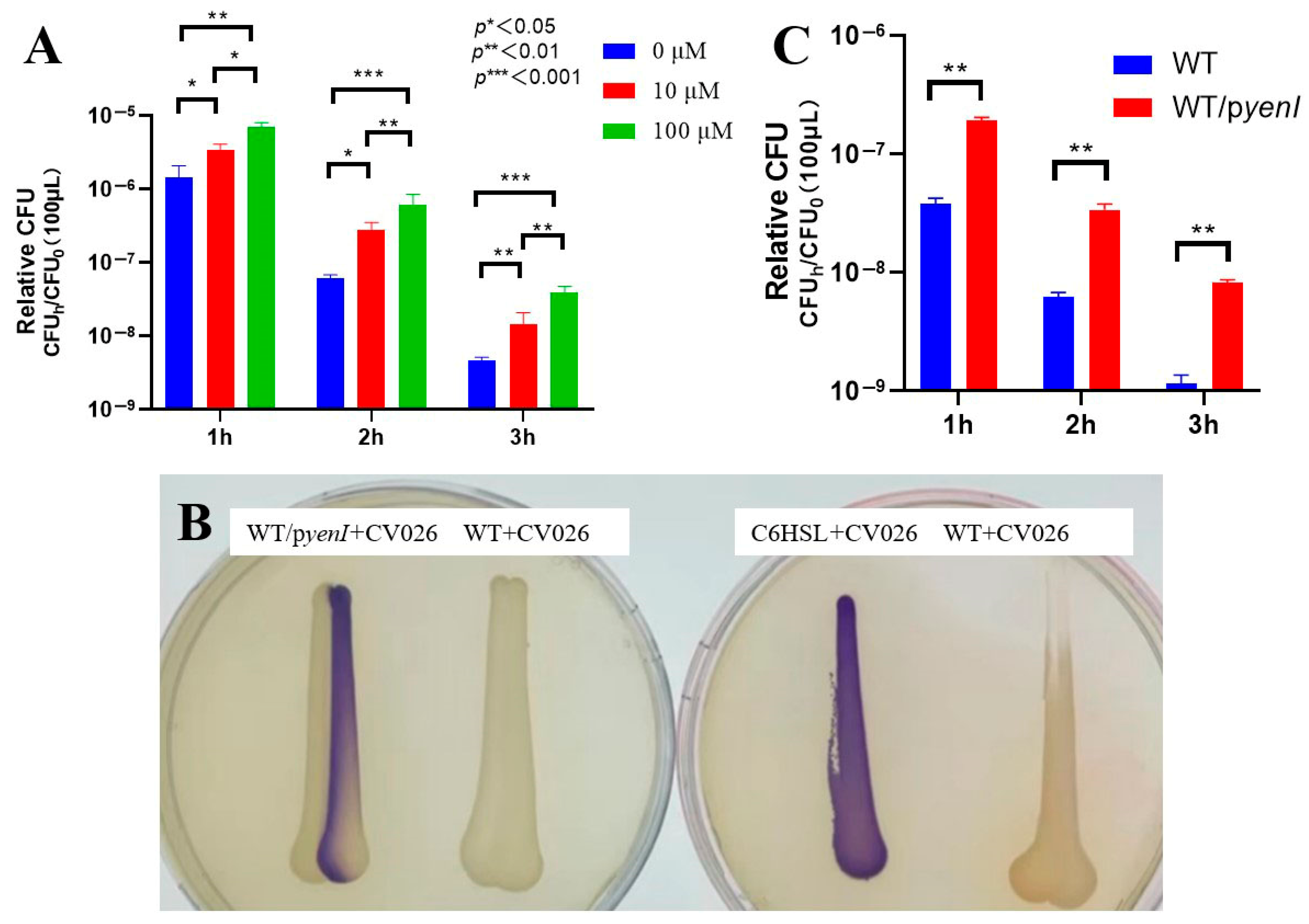 Microorganisms 13 01730 g001