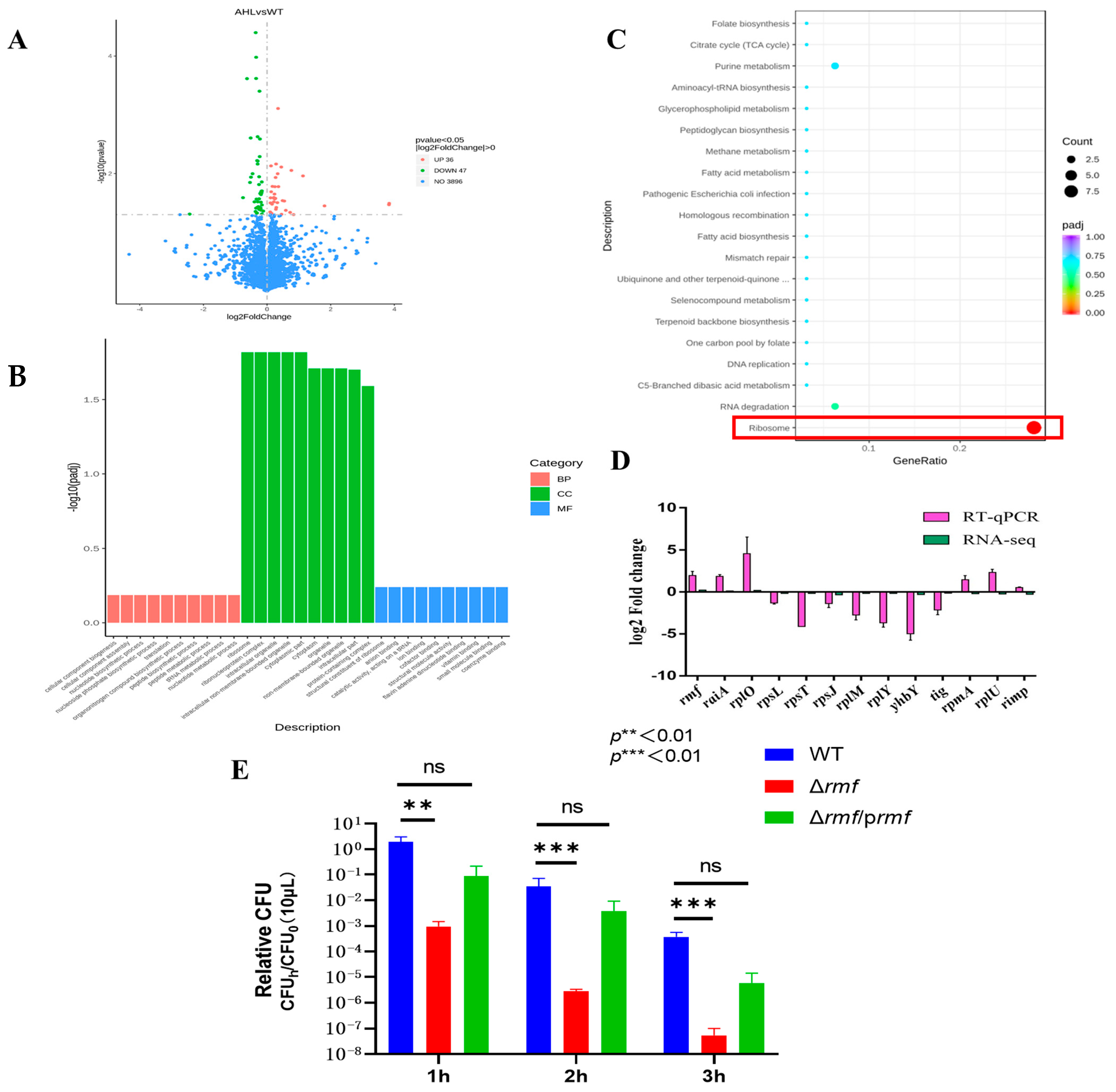 Microorganisms 13 01730 g002